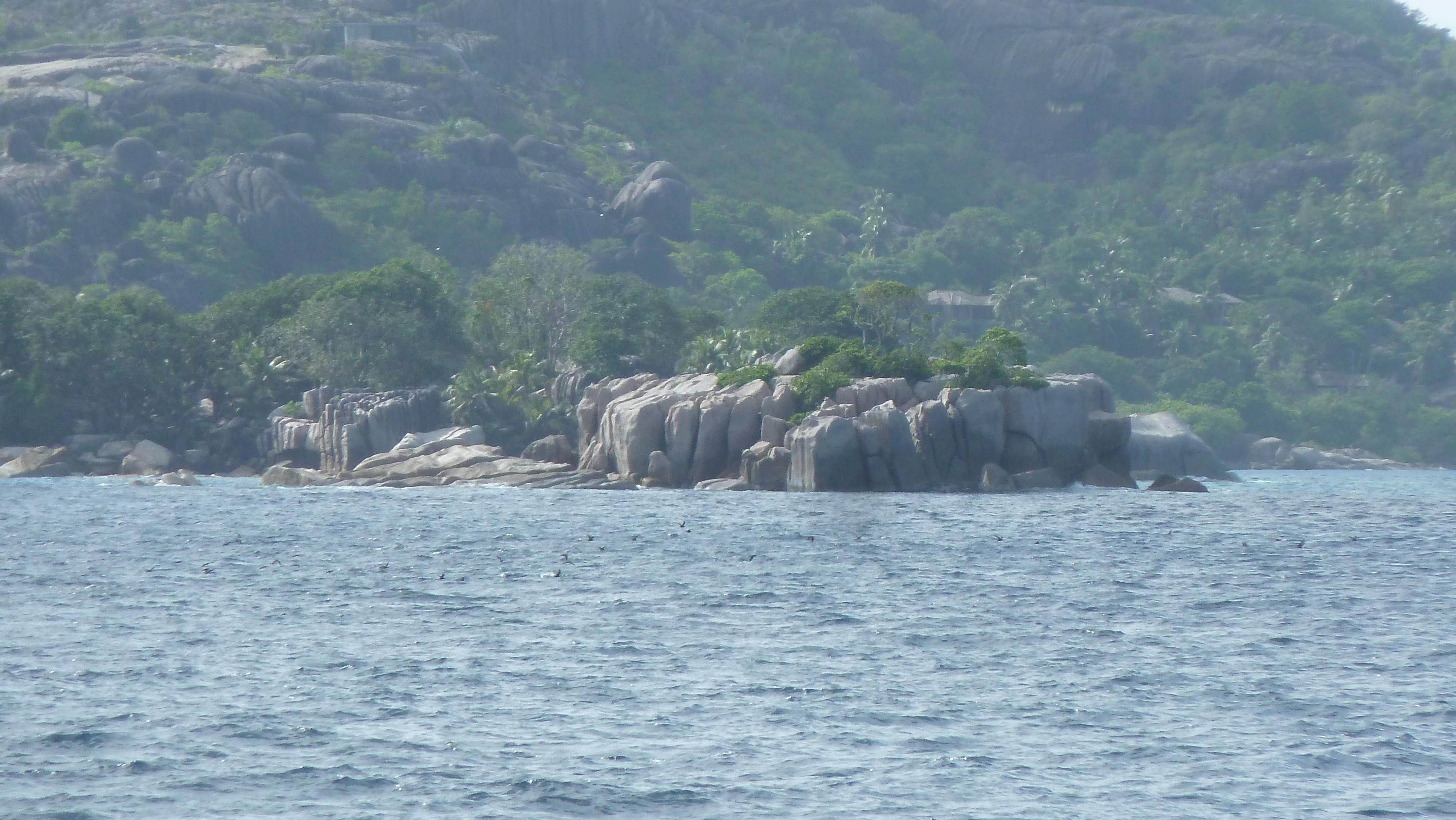 Photo Seychelles Ile Coco 2011-10 45