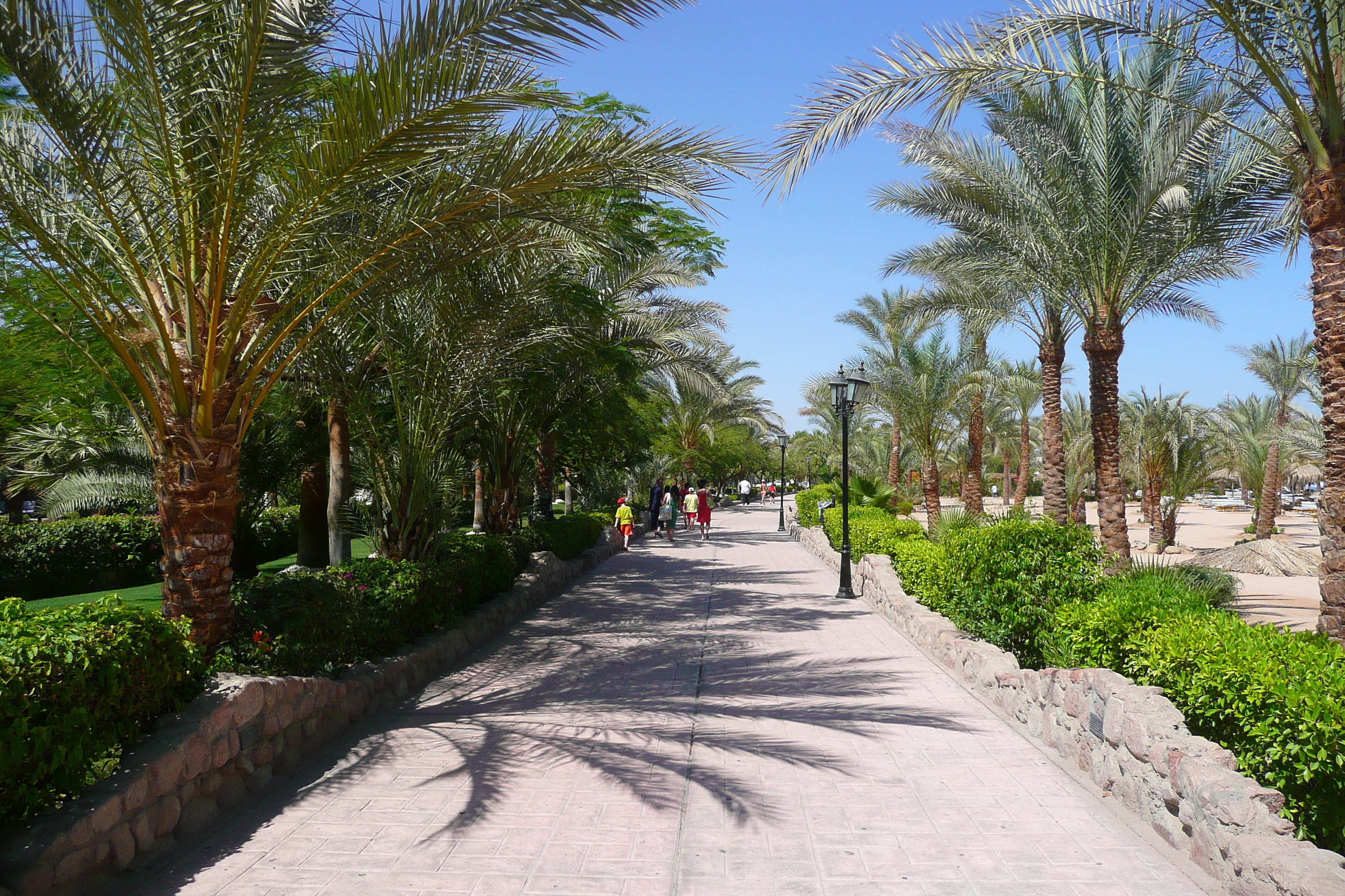 Photo Égypte Sharm el Sheikh 2008-06 6