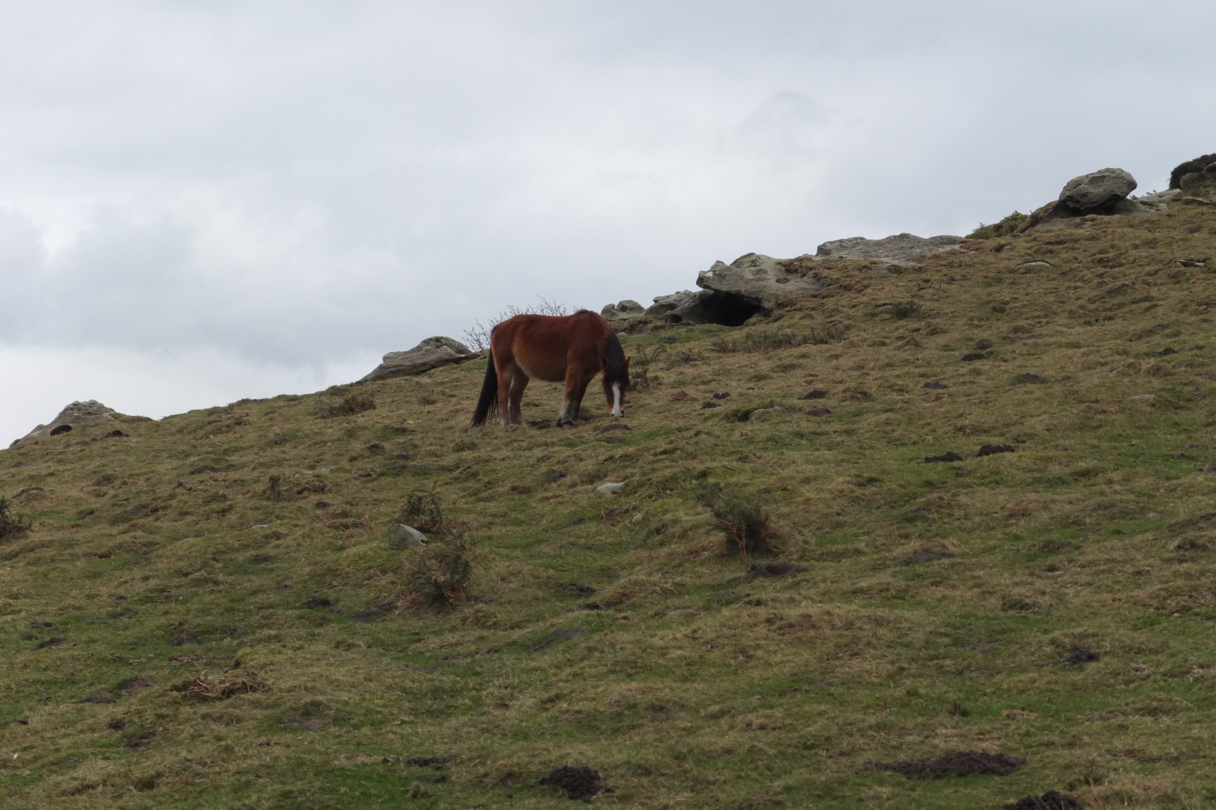 Photo France Pays Basque 2013-01 115