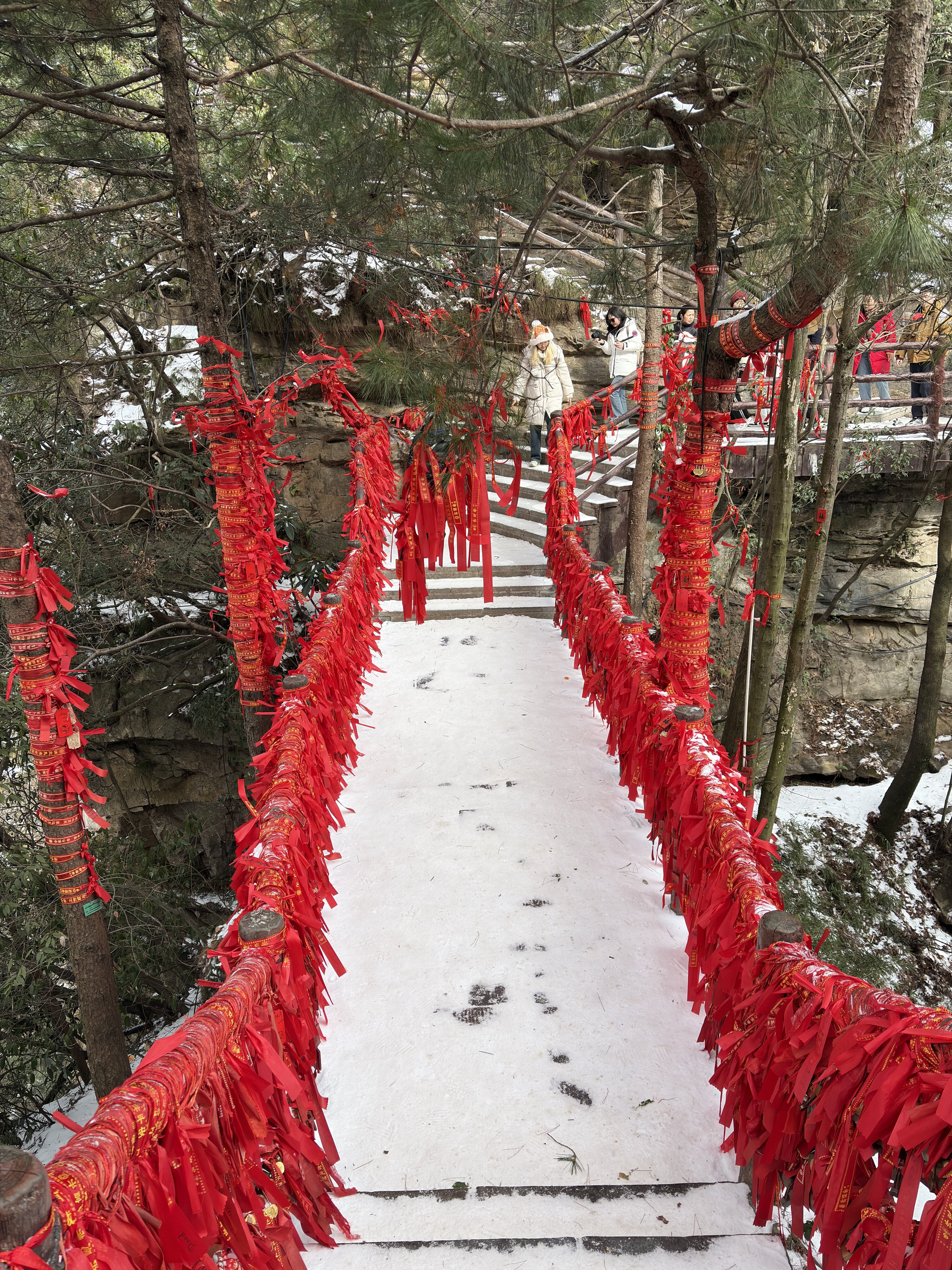 Photo Chine Zhangjiajie 2026-01 283