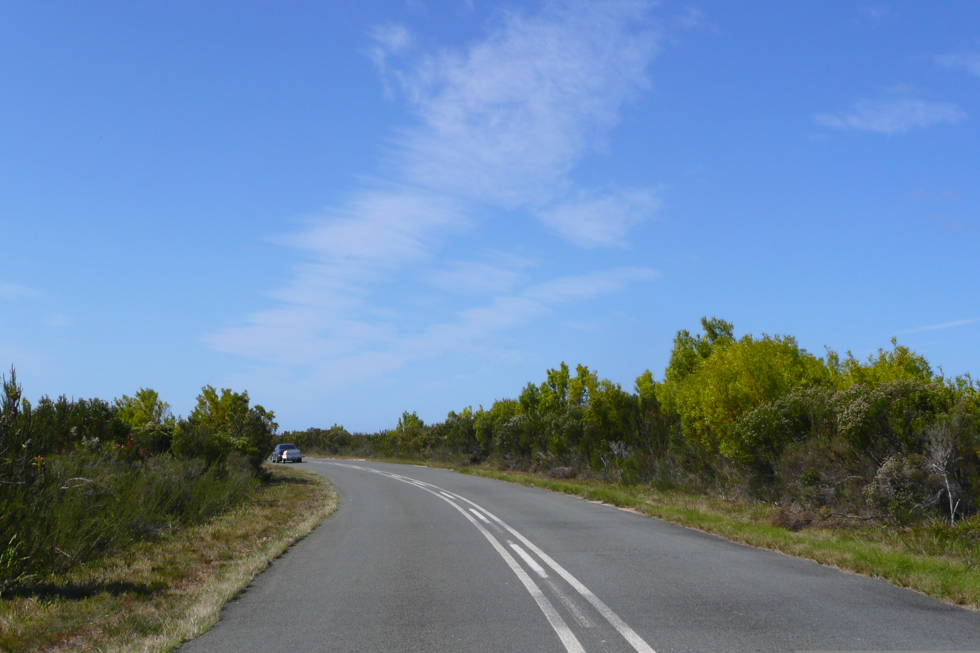 Photo Afrique du Sud Nature's Valley 2008-09 22
