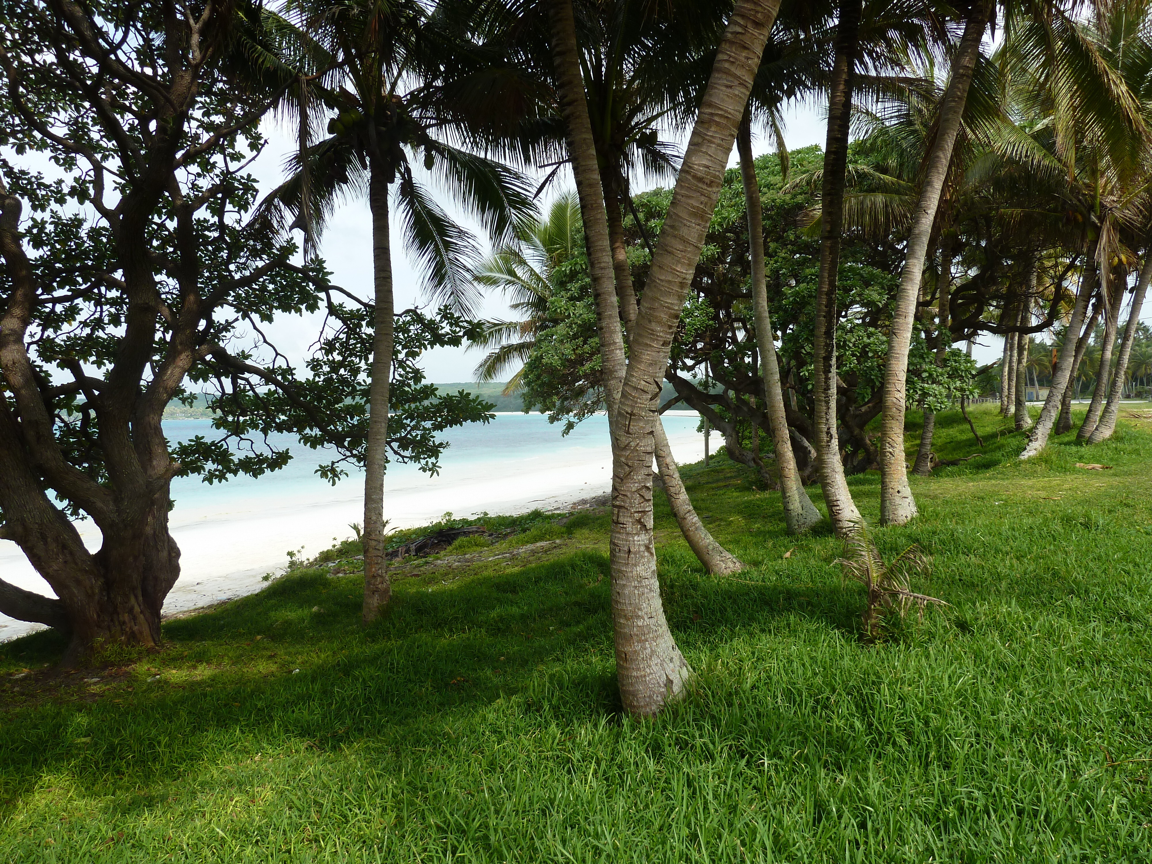 Photo Nouvelle-Calédonie Lifou Luecilla 2010-05 28