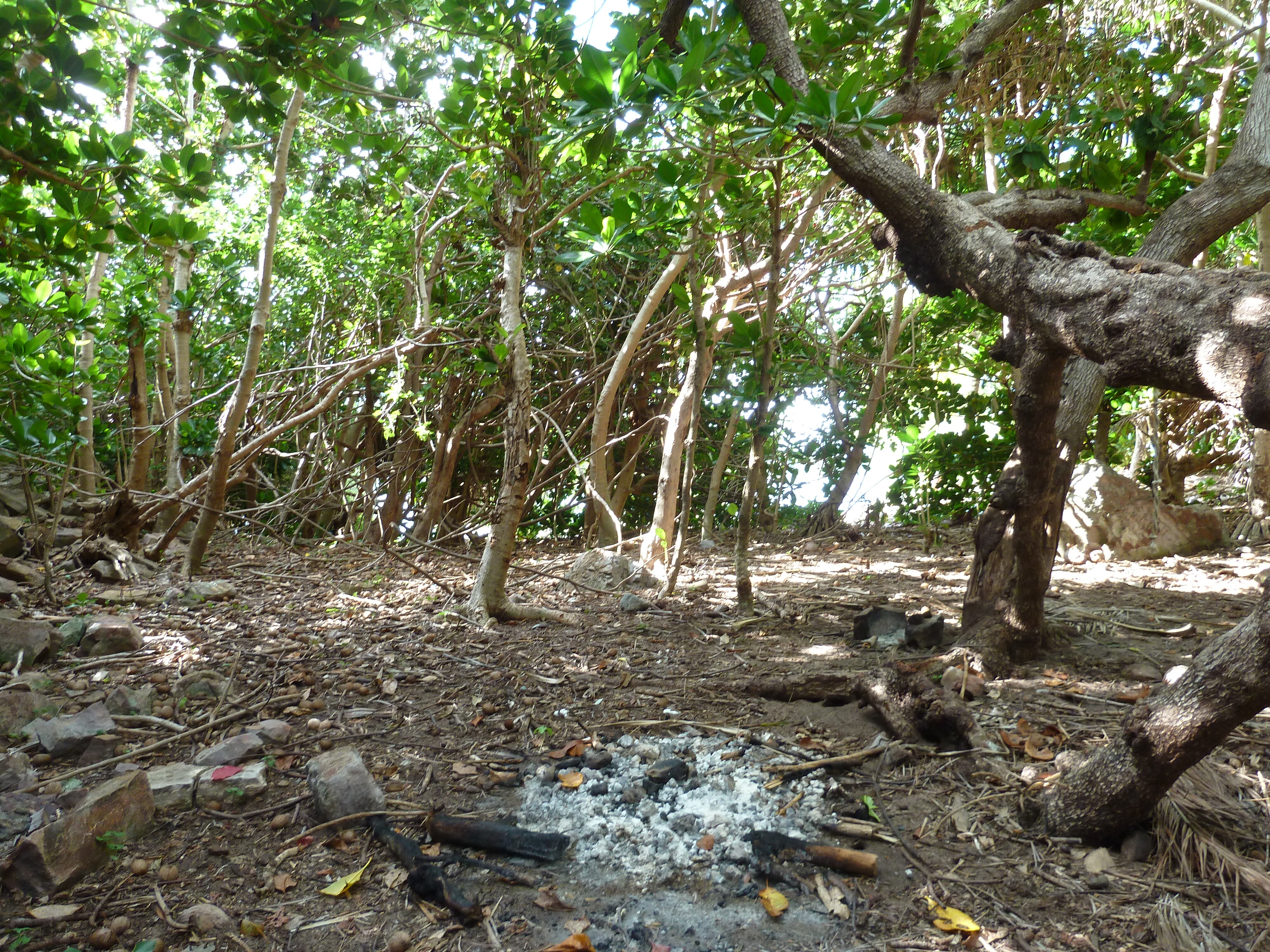 Photo Îles Fidji île Castaway(Seul au monde) 2010-05 73