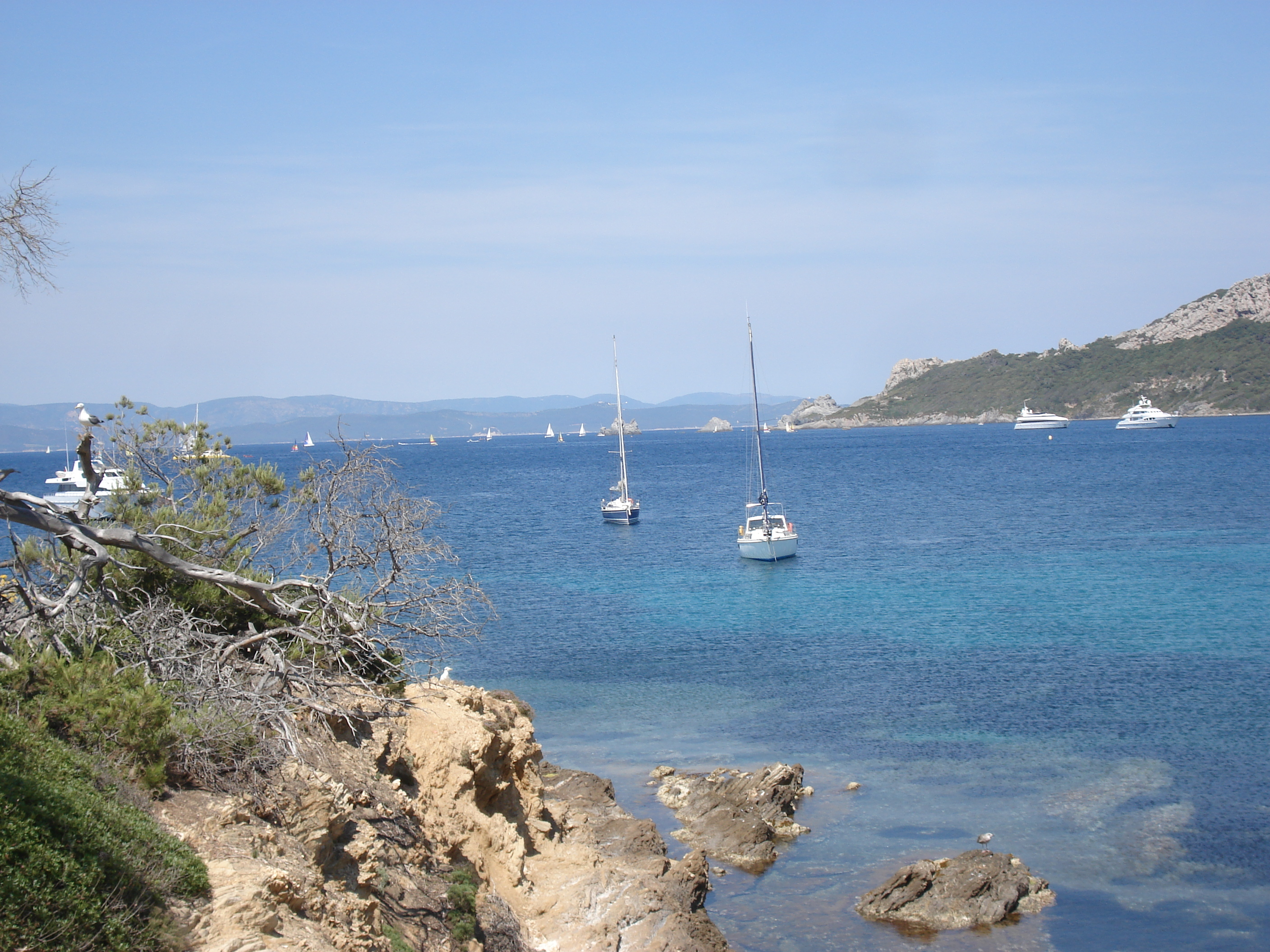 Photo France Ile de Porquerolles 2006-06 86