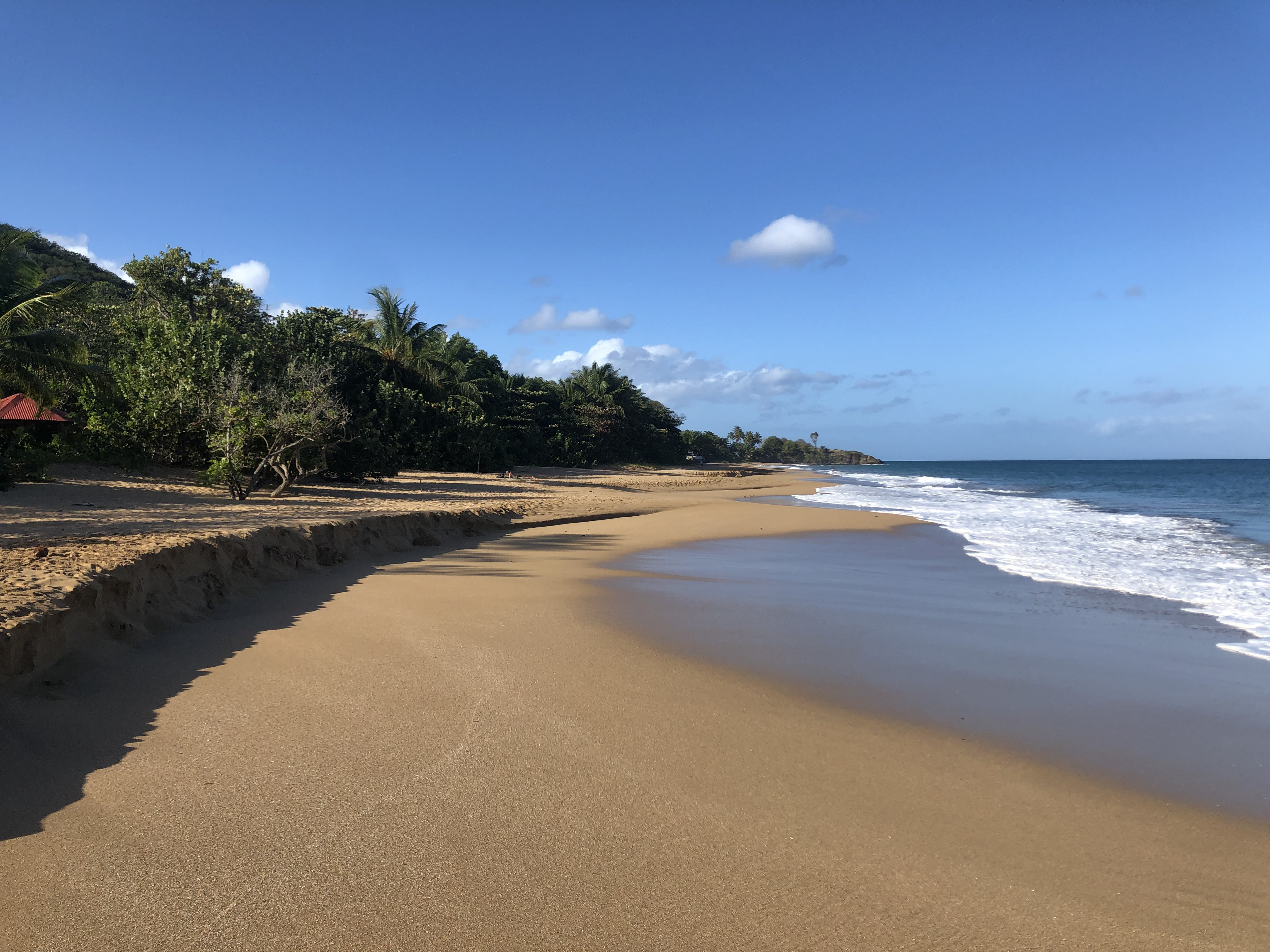 Photo Guadeloupe Plage de la Perle 2021-02 19