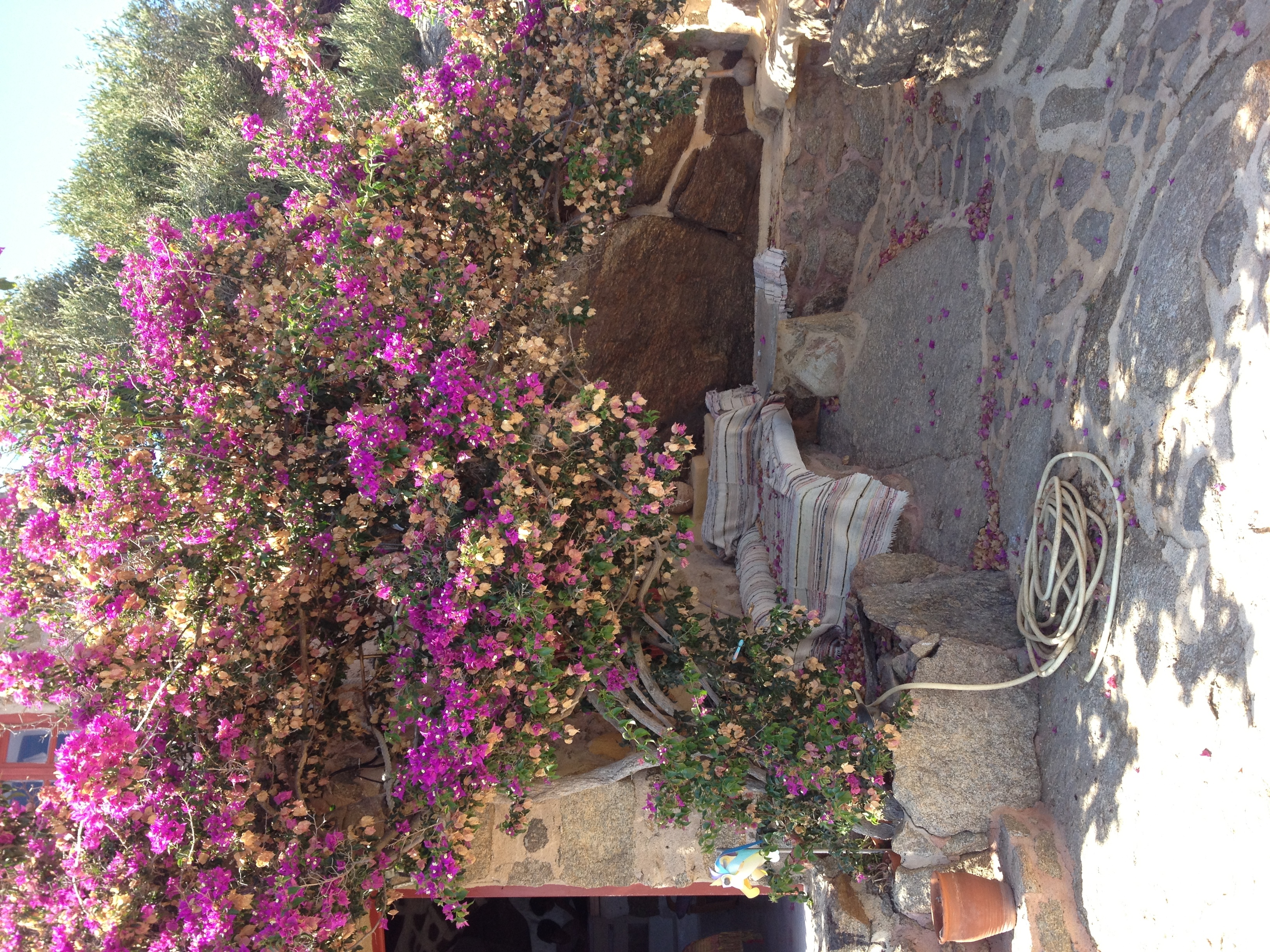 Photo Grèce Mykonos 2014-07 8