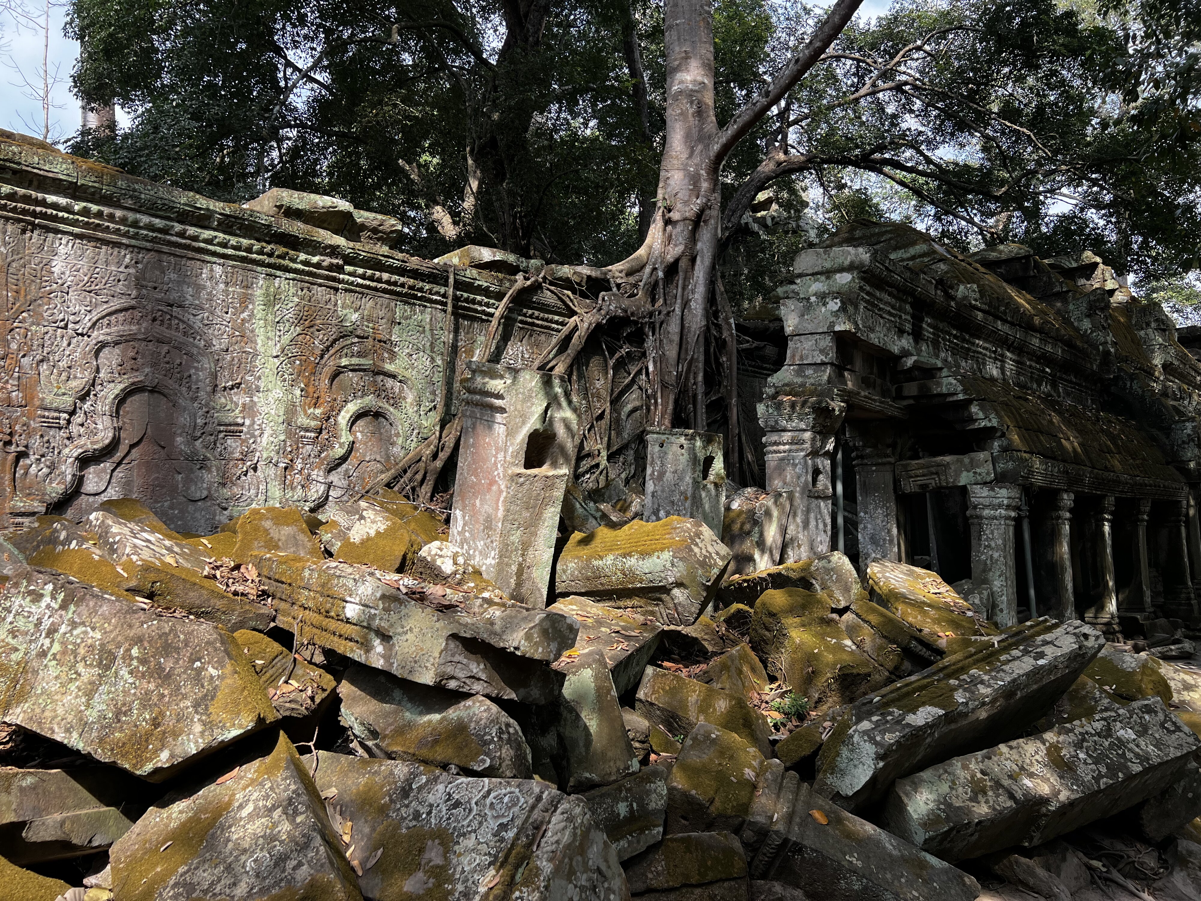 Photo Cambodge Siem Reap Ta Prohm 2023-01 137