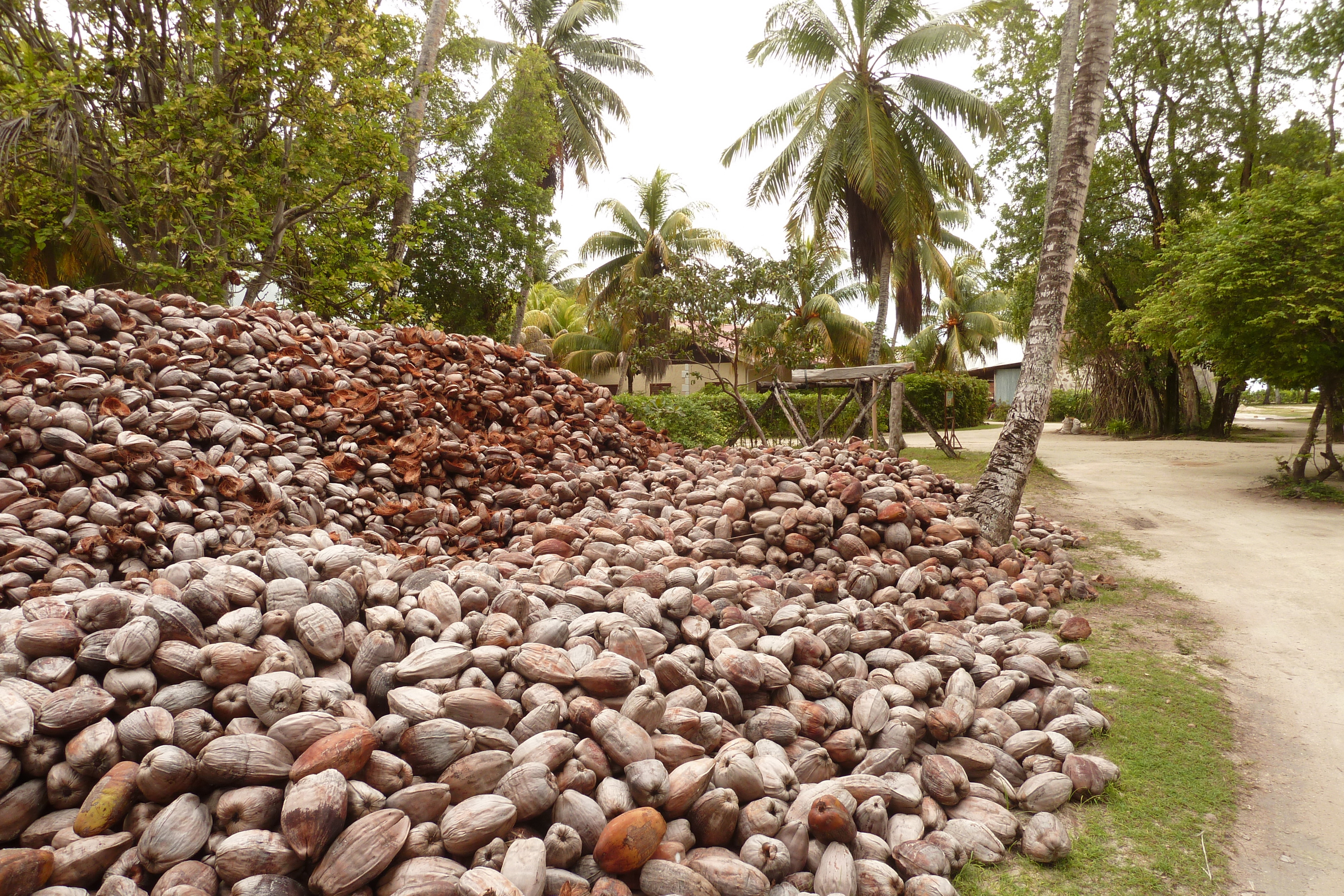 Photo Seychelles La Digue 2011-10 182
