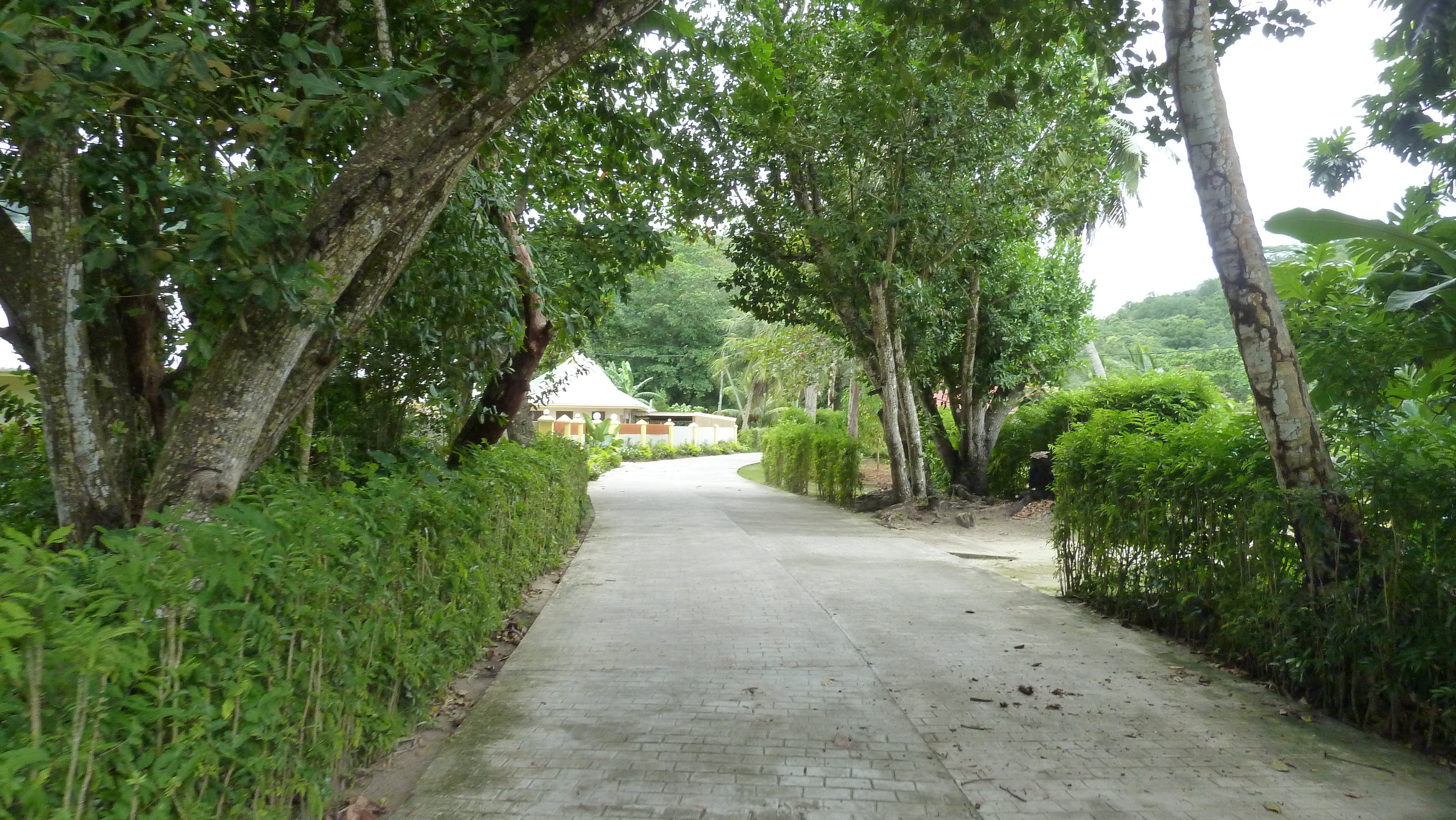Photo Seychelles La Digue 2011-10 61