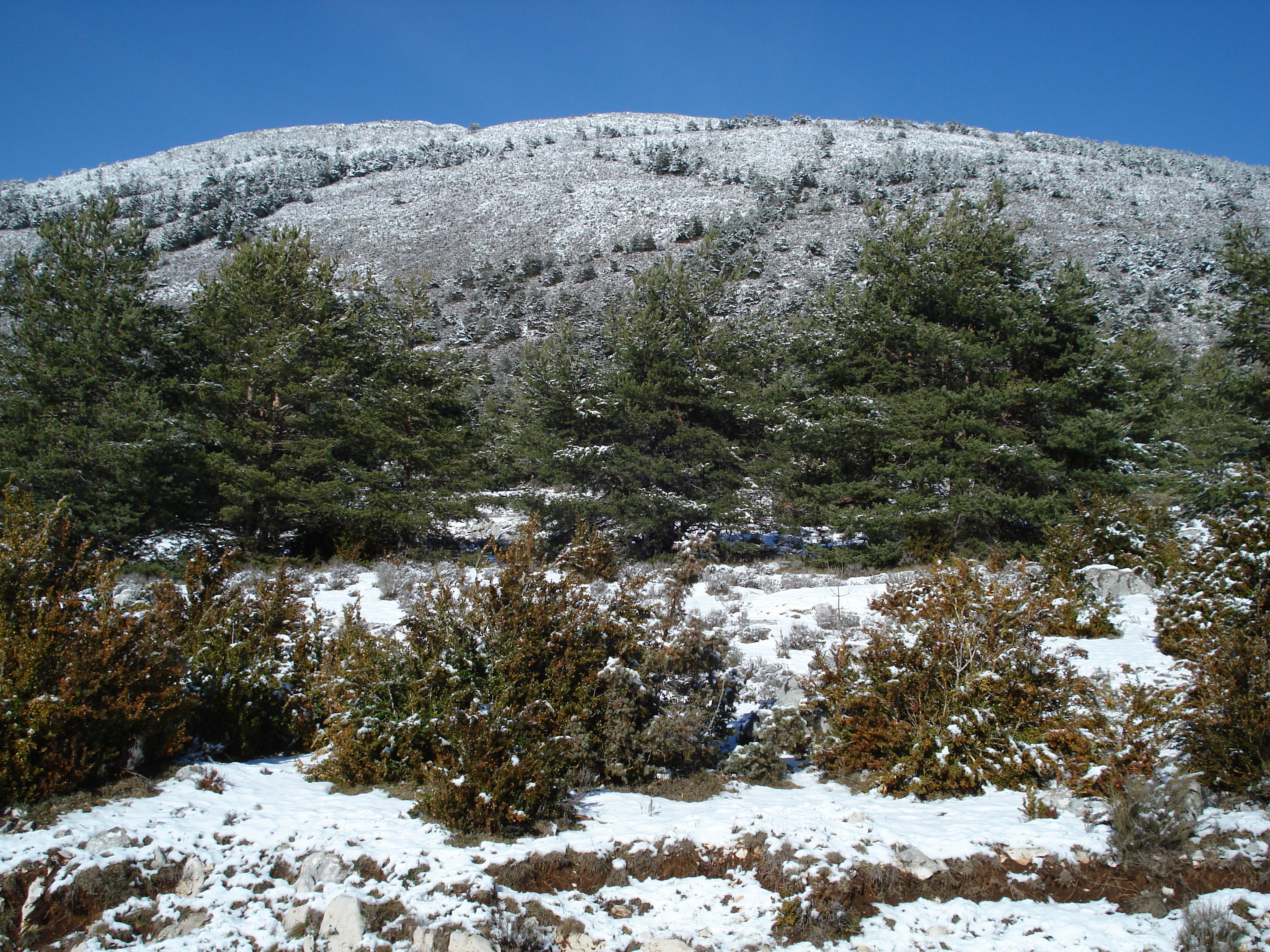 Photo France Route de Coursegoule à Gréolières les neiges 2007-01 93
