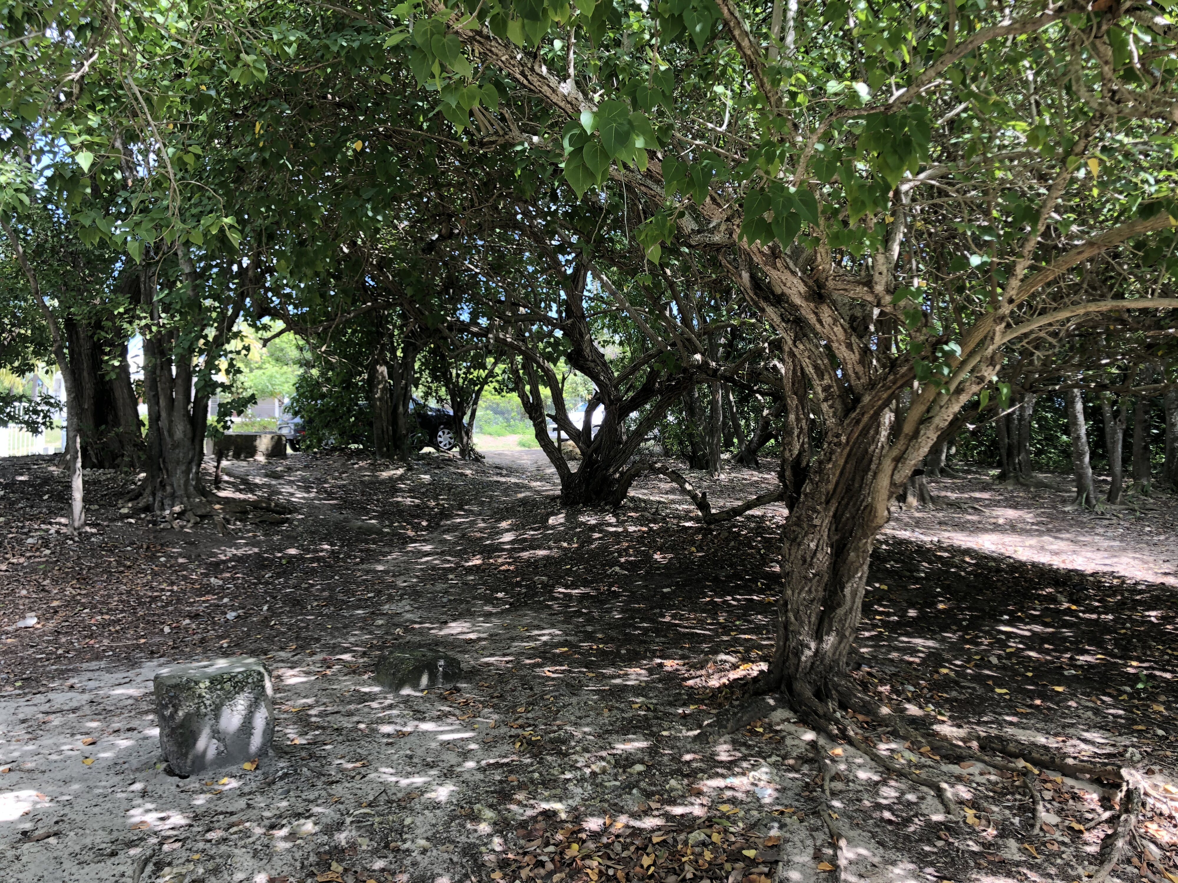 Photo Guadeloupe Saint François 2021-02 0