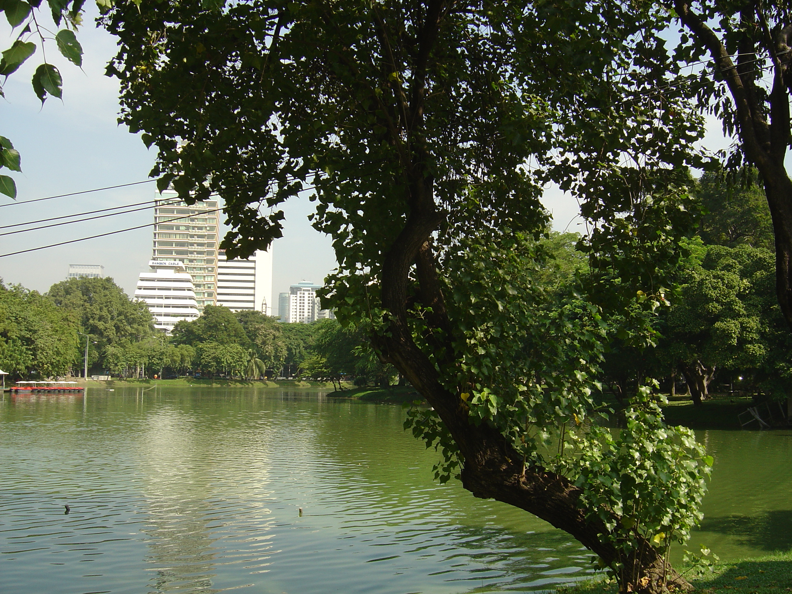 Photo Thaïlande Bangkok Parc Lumpini 2005-12 13