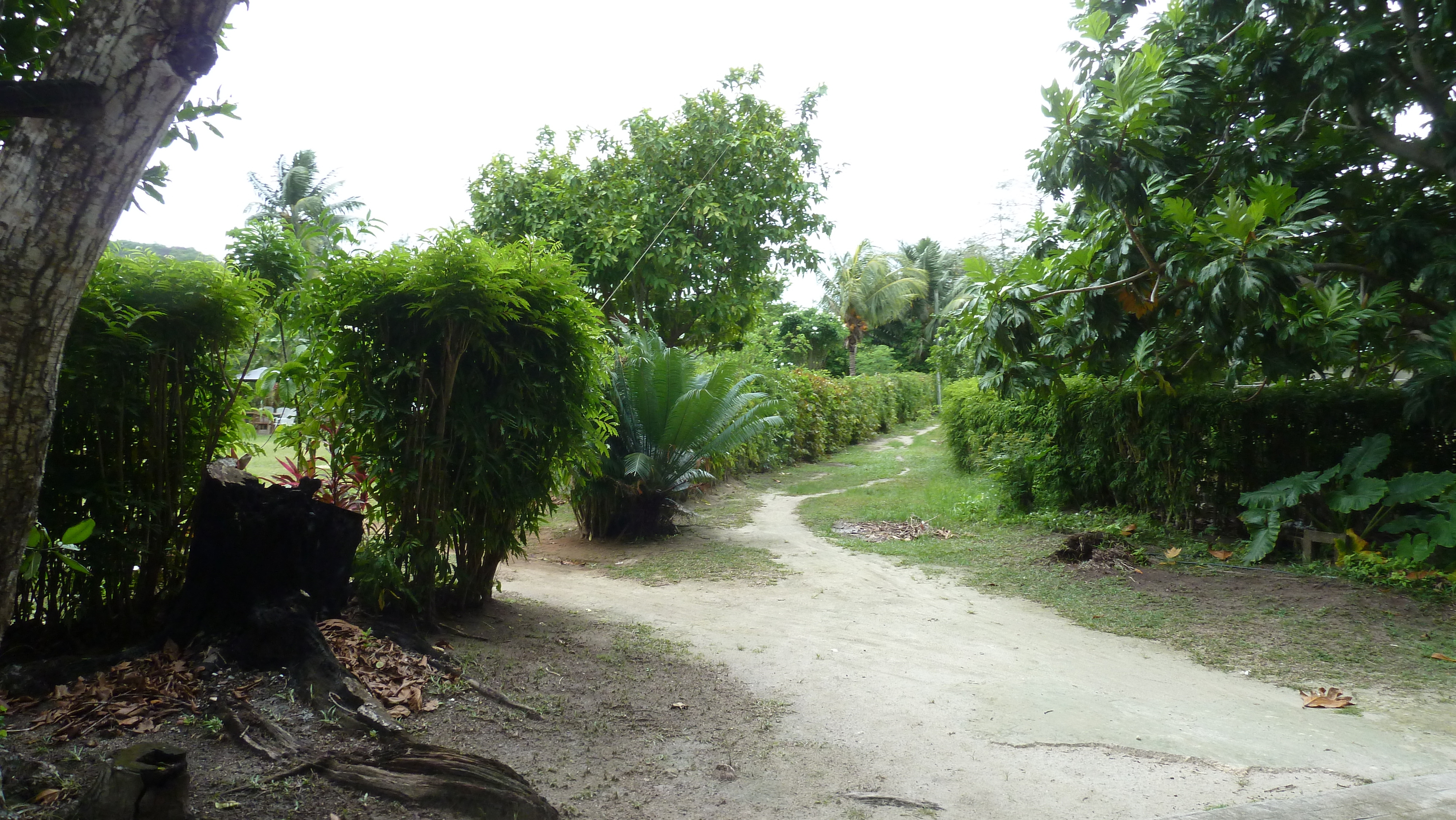 Photo Seychelles La Digue 2011-10 16