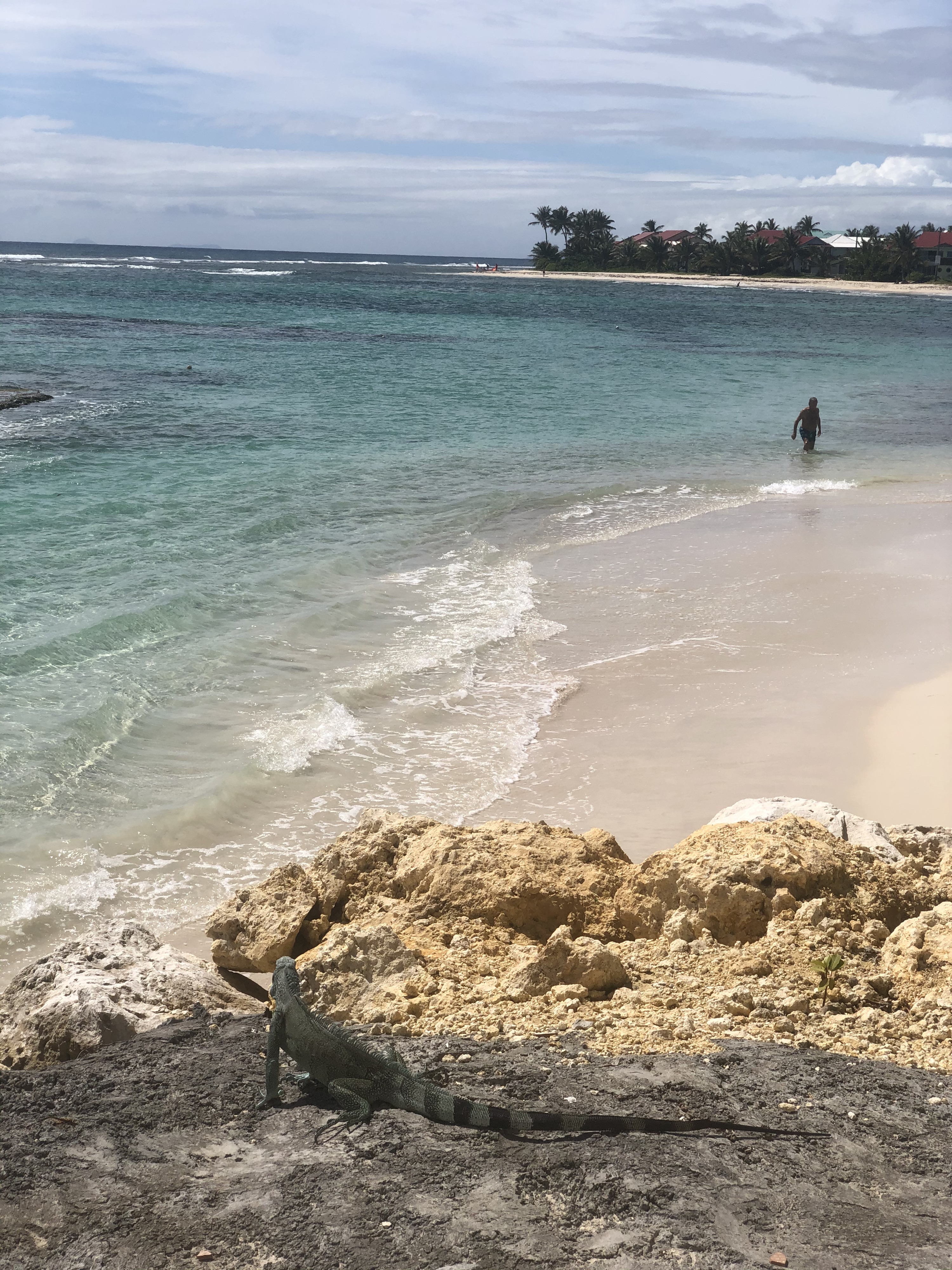 Photo Guadeloupe Saint François 2021-02 12