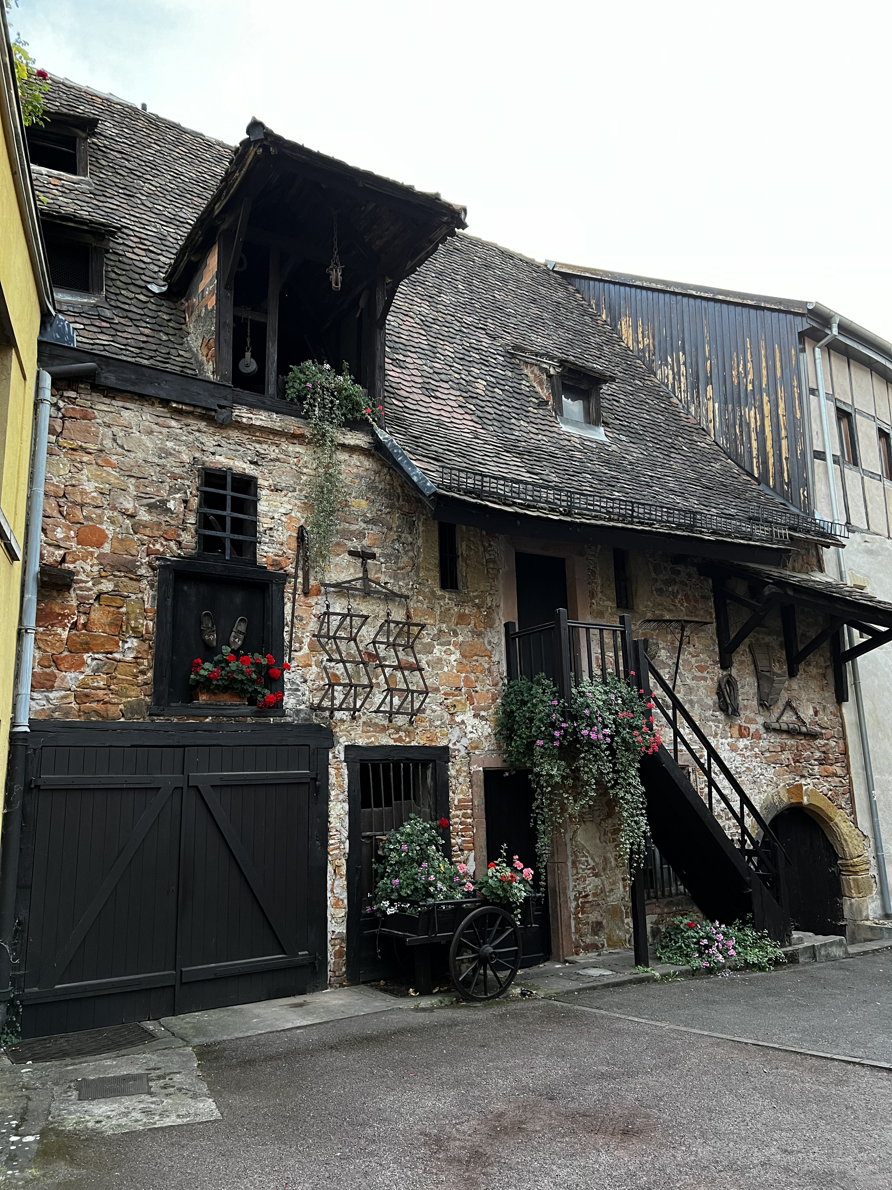 Photo France Colmar 2023-10 72