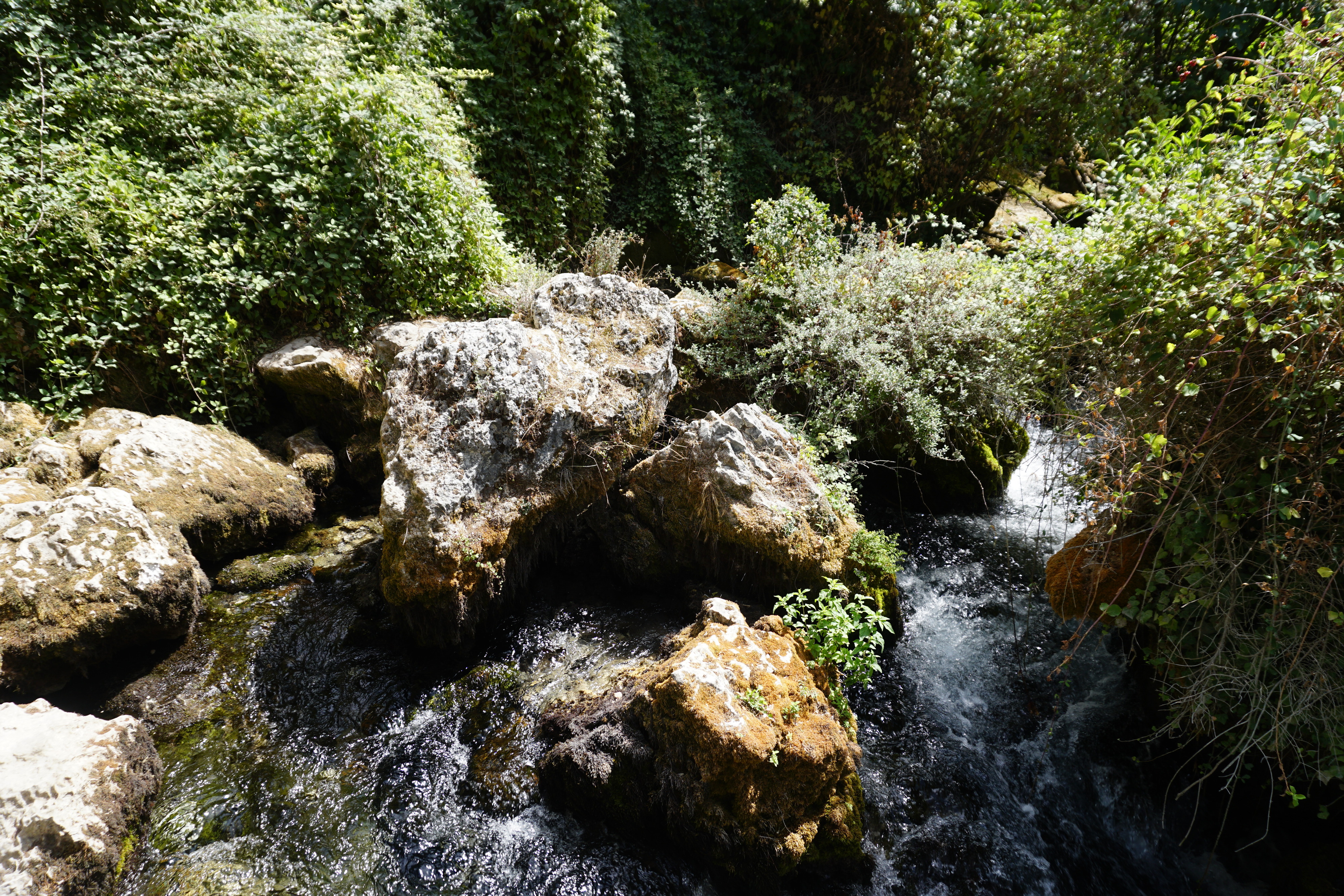 Photo France Fontaine-de-Vaucluse 2017-08 49