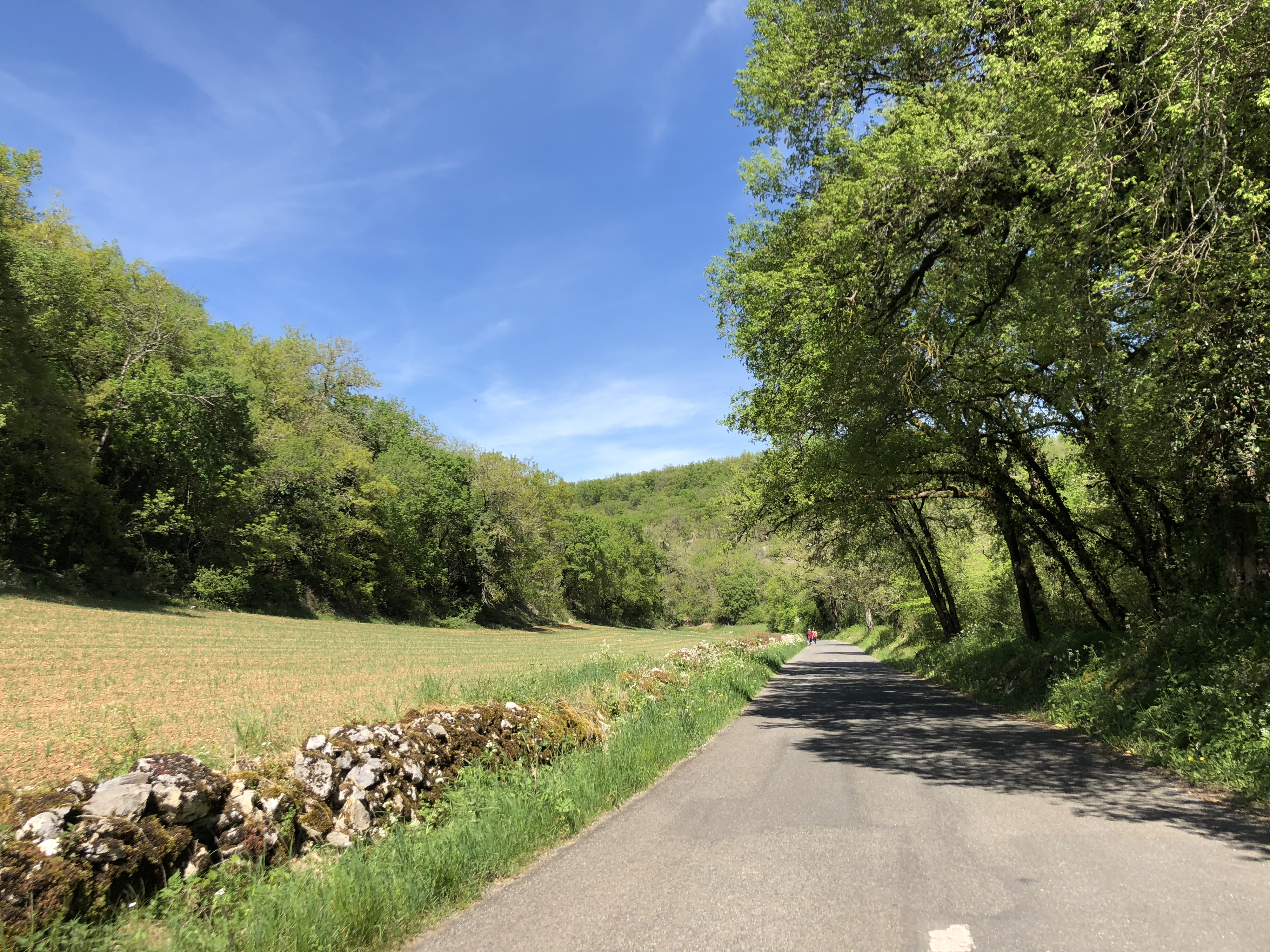 Photo France Floirac 2018-04 9
