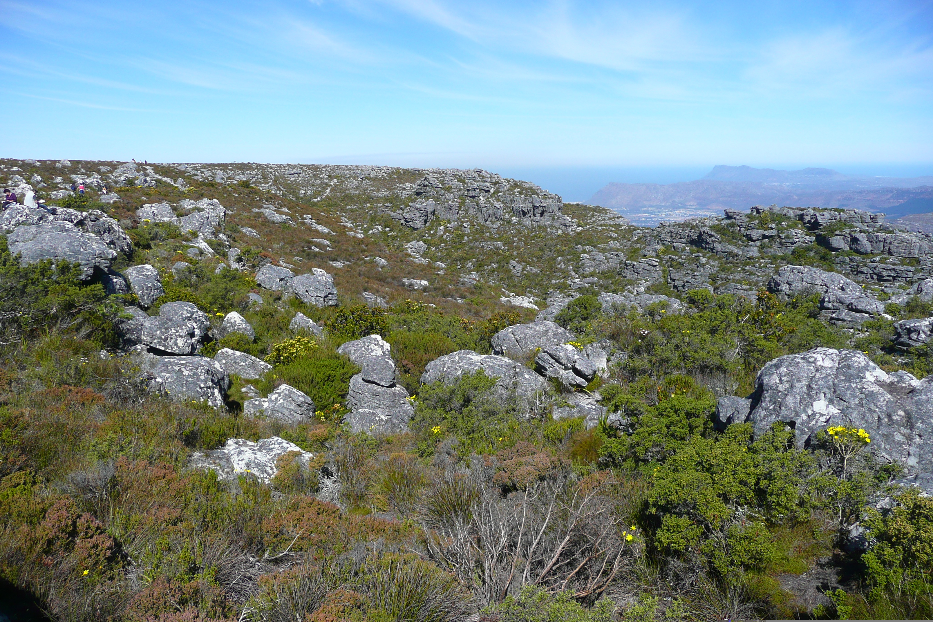 Photo Afrique du Sud Le Cap Montagne de la table 2008-09 39