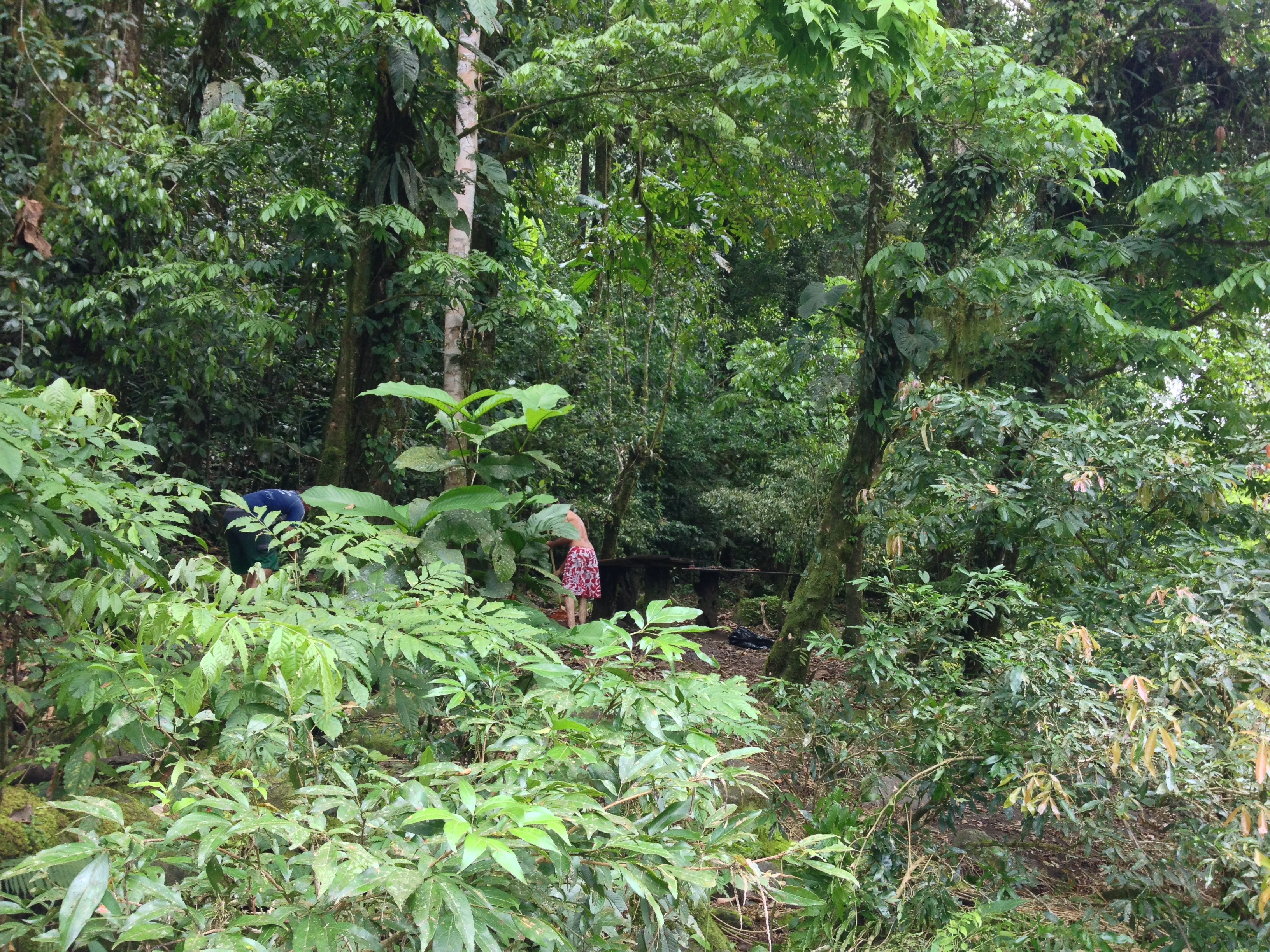 Photo Costa Rica Rivière Pacuare 2015-03 27