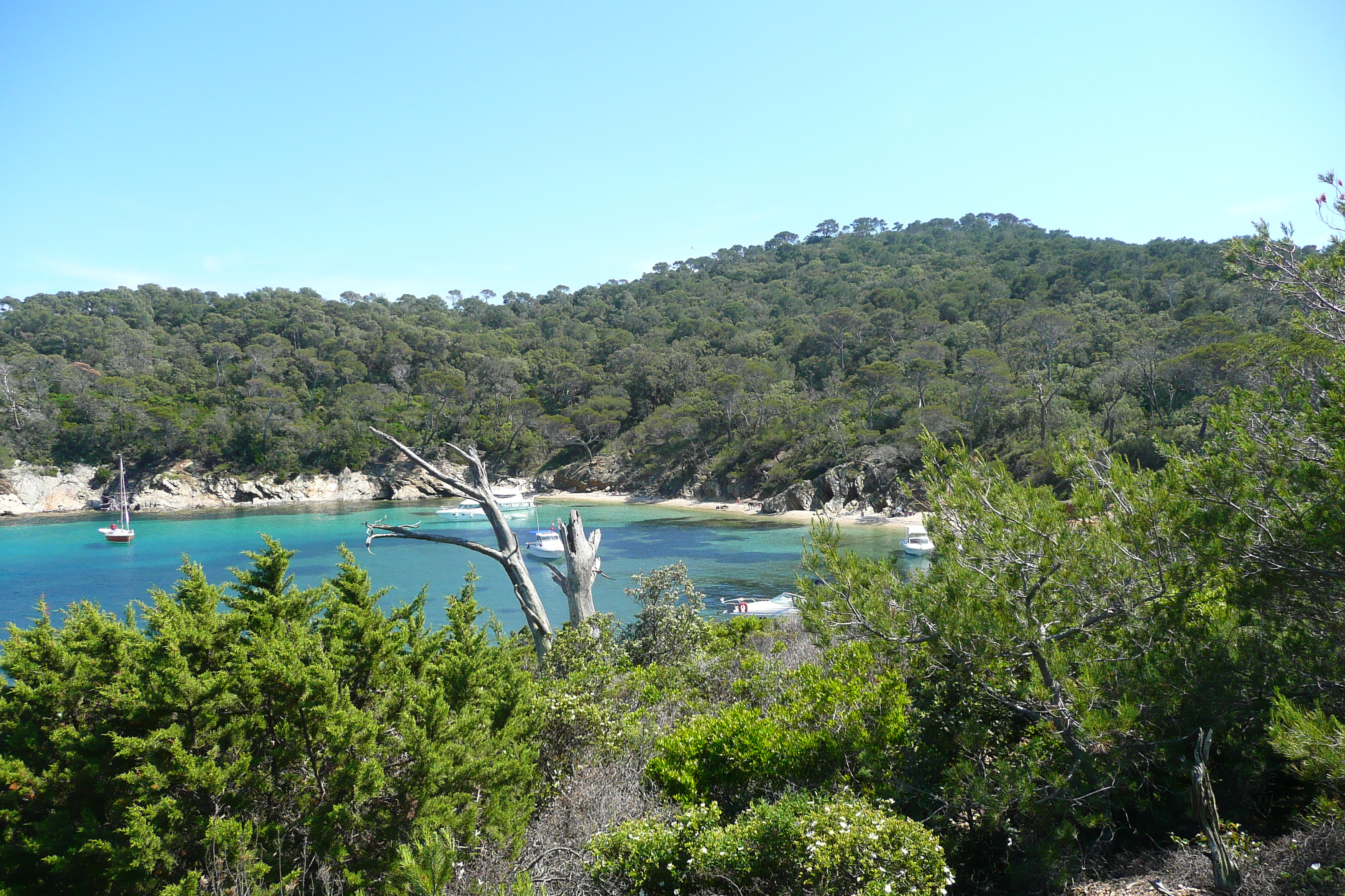 Photo France Ile de Porquerolles Plage d'Alycastre 2008-05 6