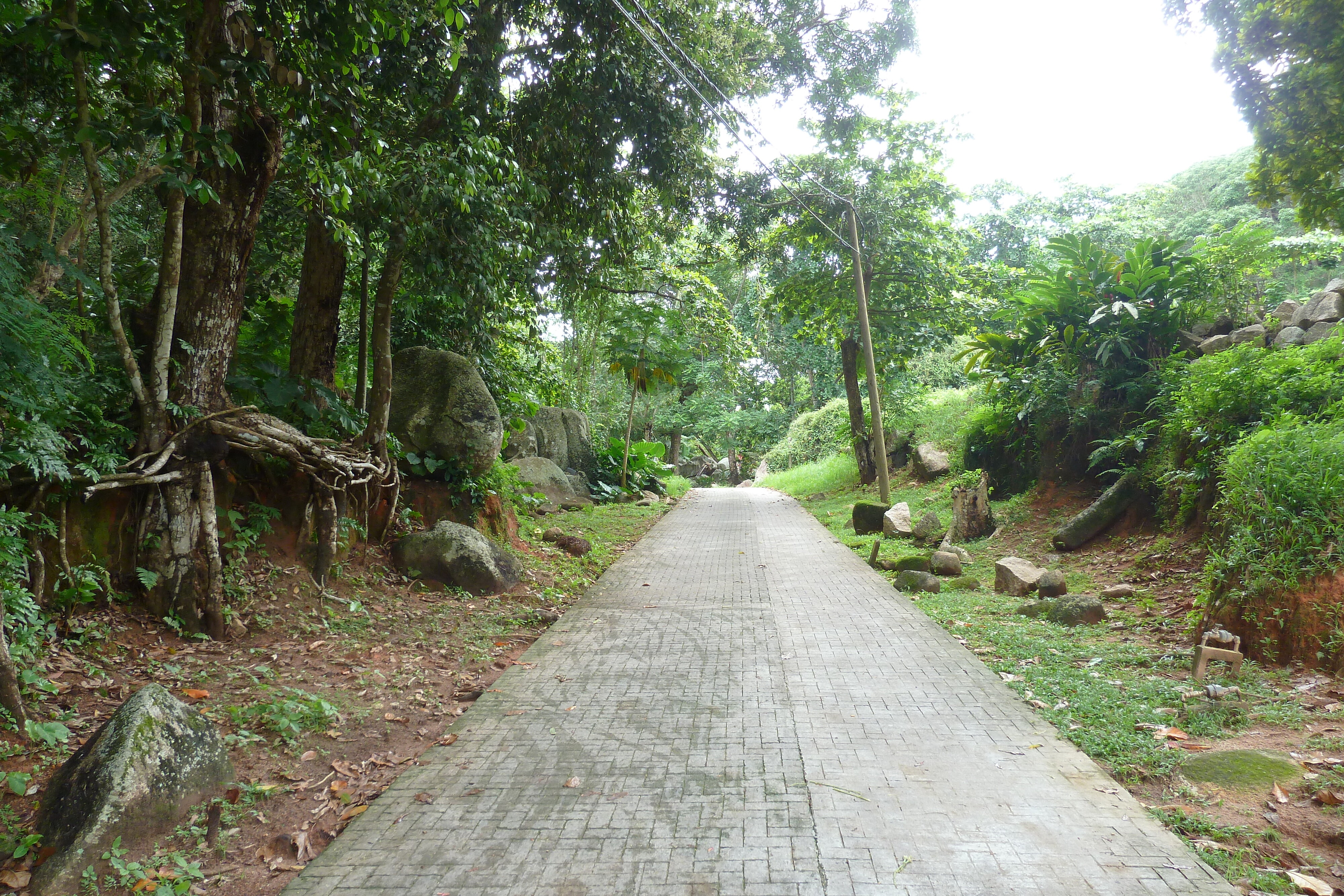 Photo Seychelles La Digue 2011-10 93