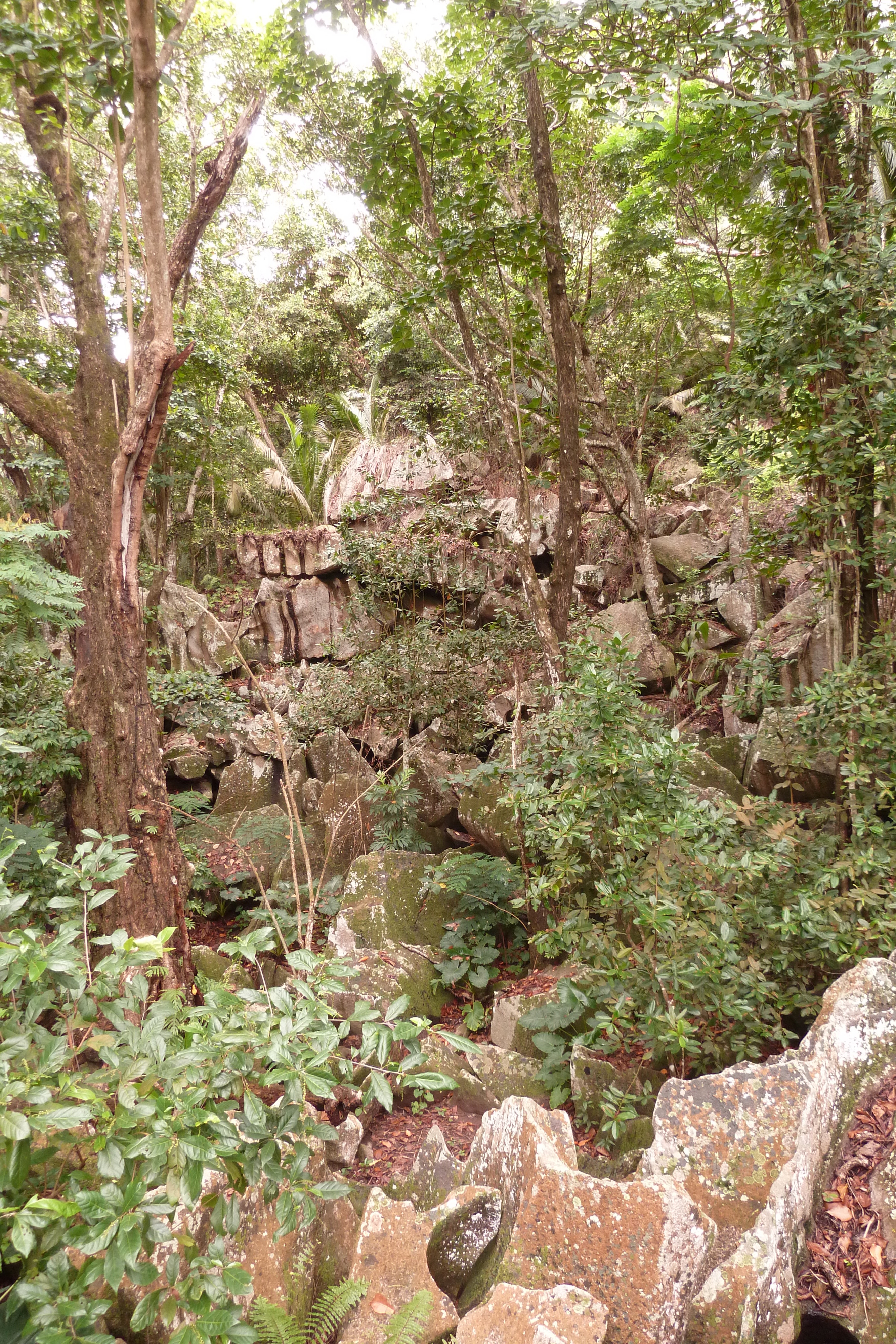 Photo Seychelles La Digue 2011-10 111