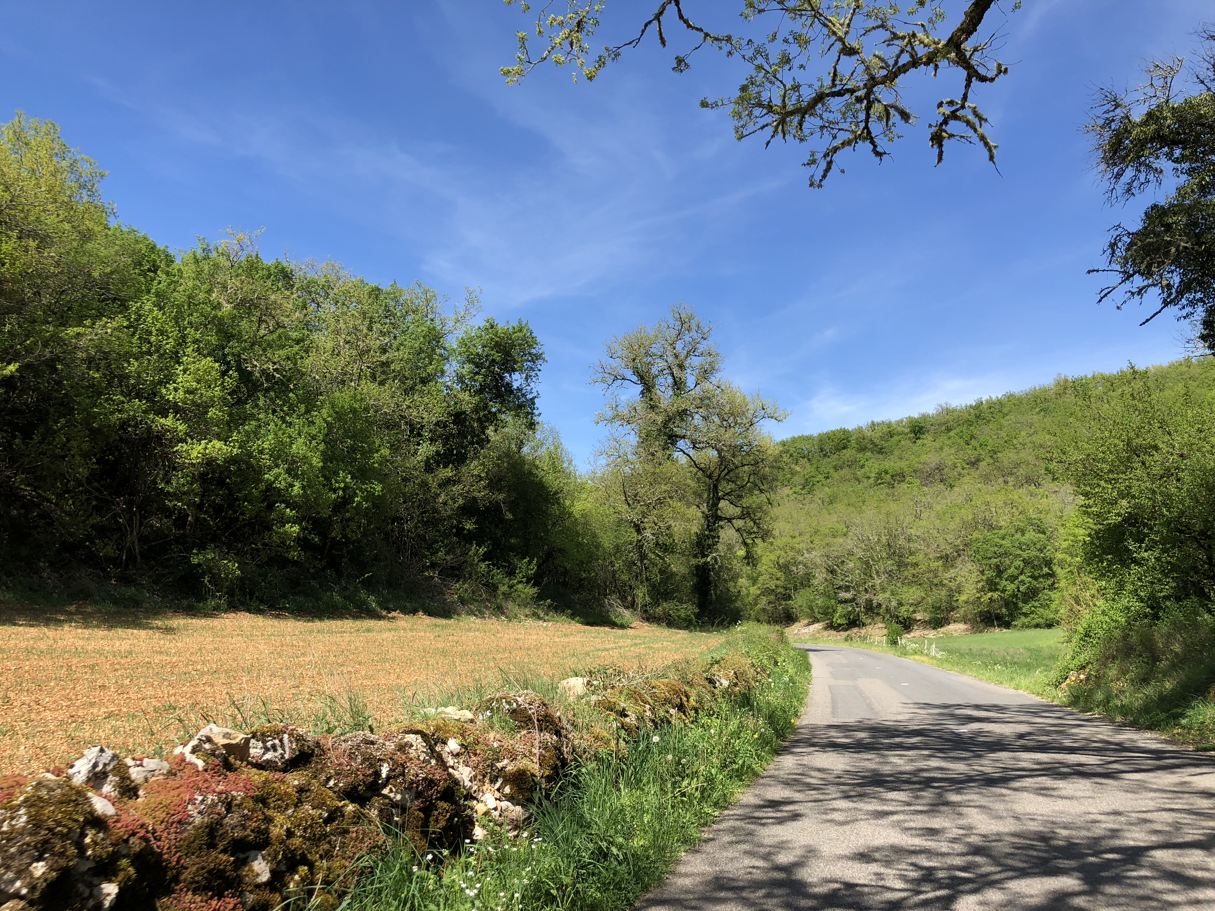Photo France Floirac 2018-04 24