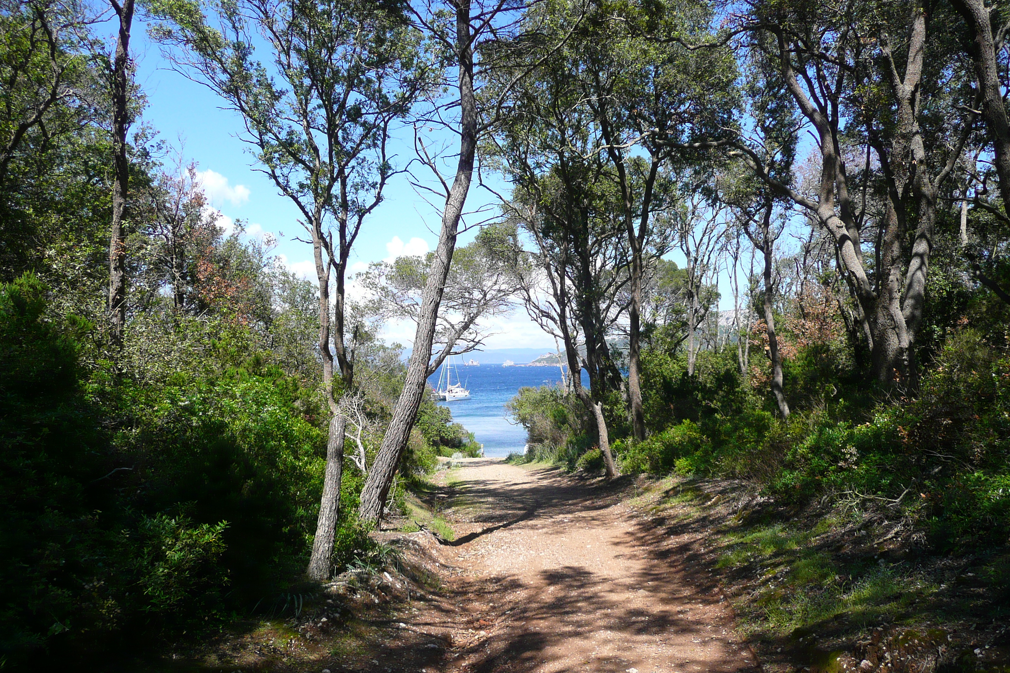 Photo France Ile de Porquerolles Plage d'Alycastre 2008-05 14