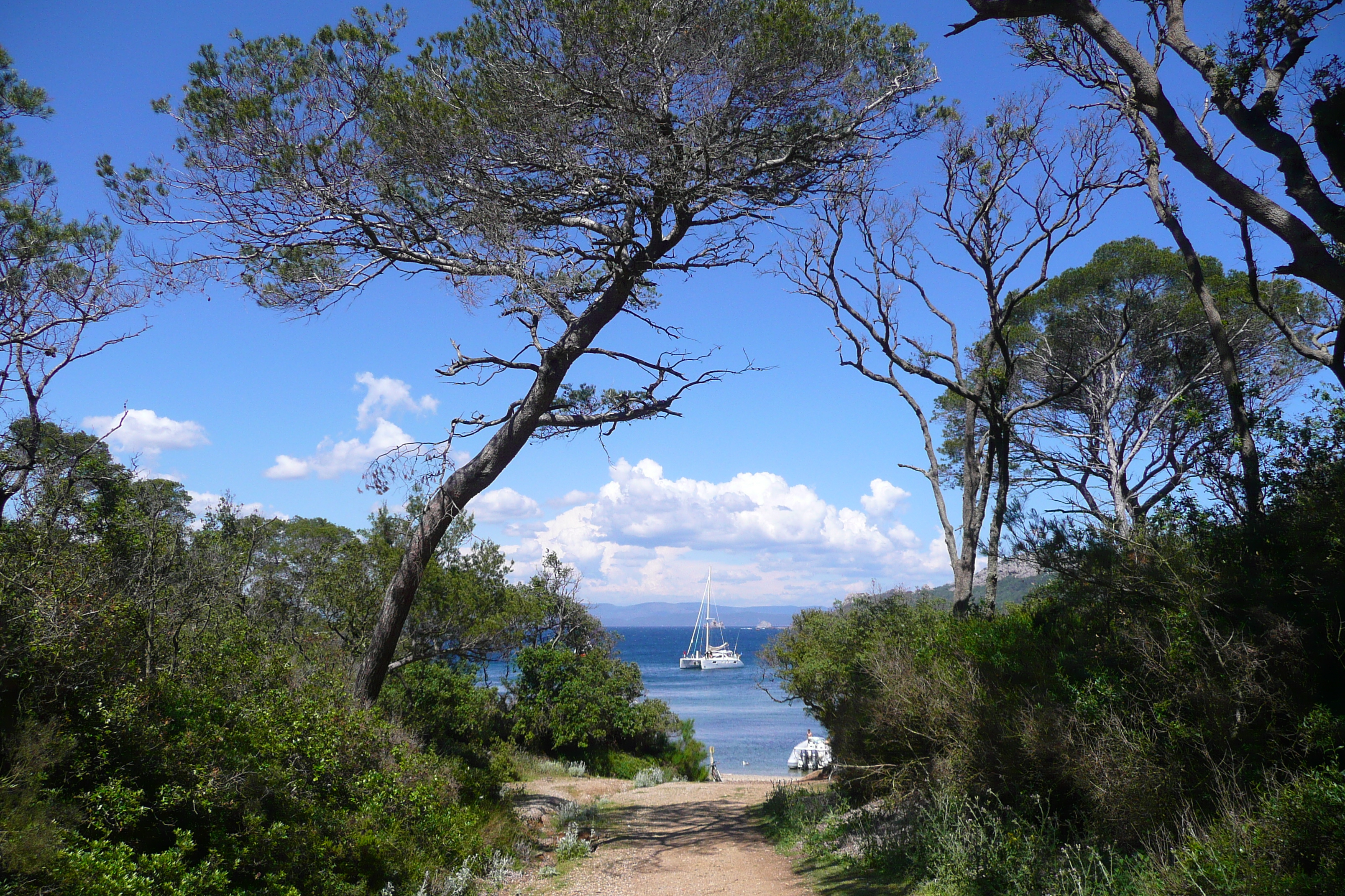 Photo France Ile de Porquerolles Plage d'Alycastre 2008-05 19
