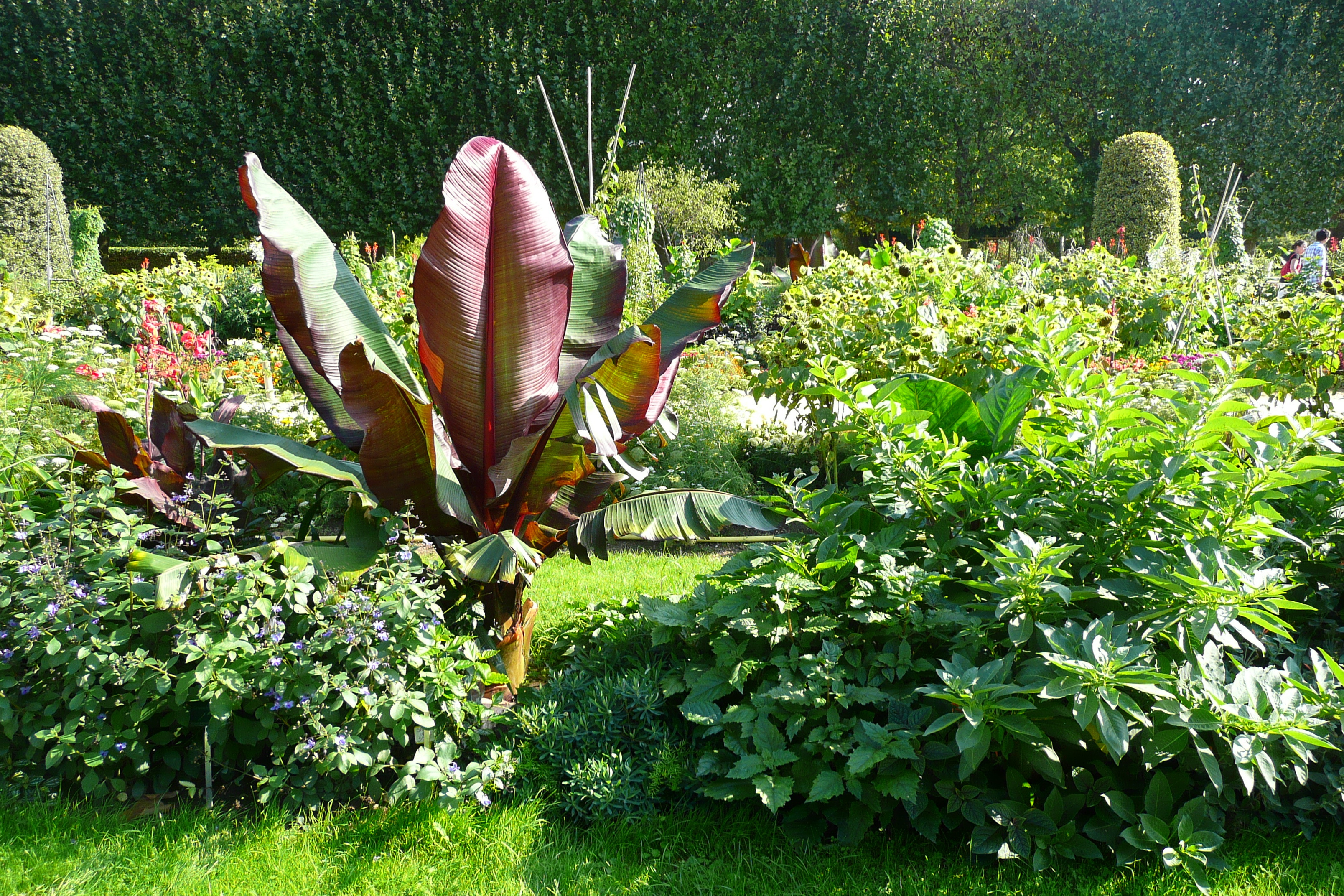Photo France Paris Jardin des Plantes 2007-08 64