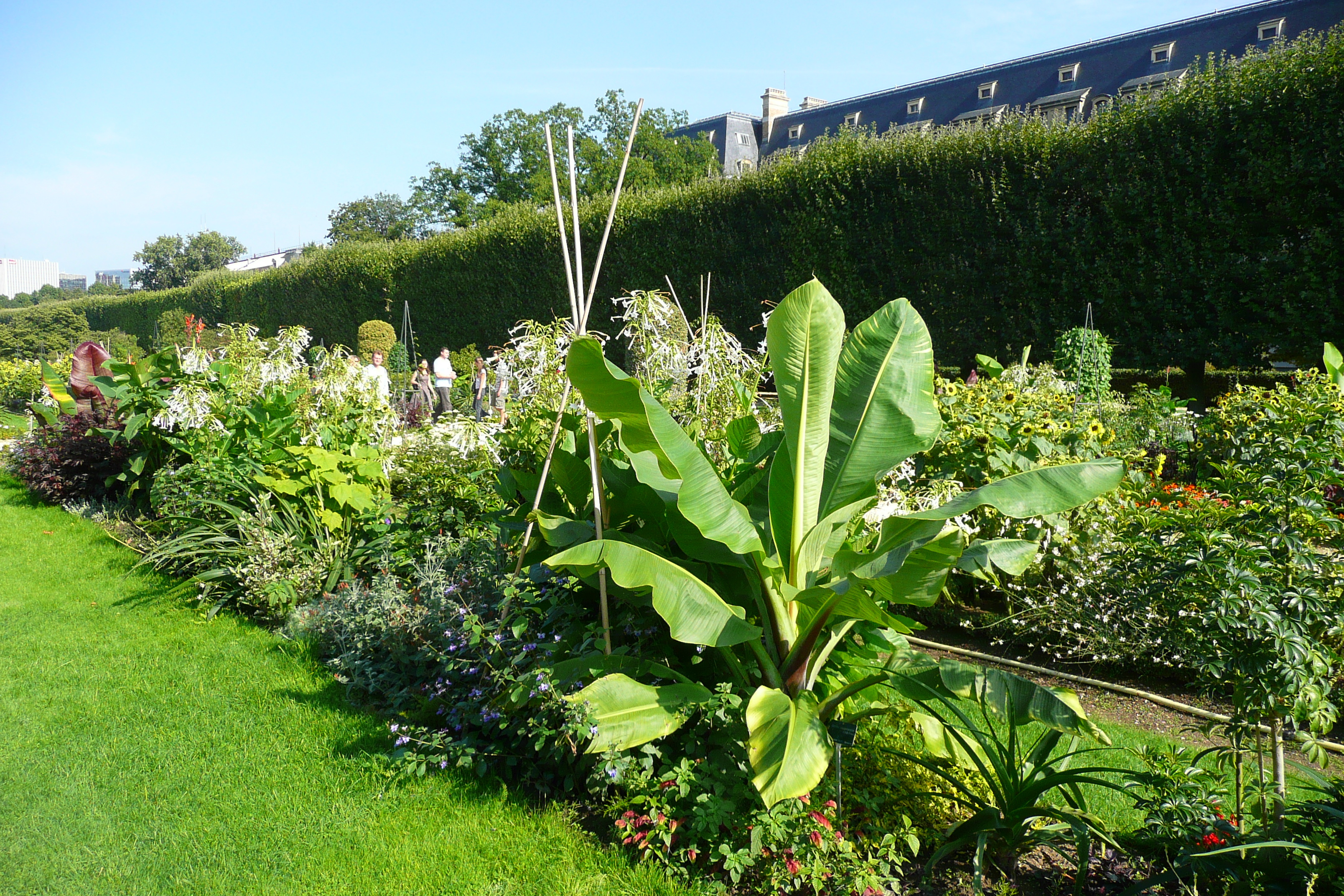 Photo France Paris Jardin des Plantes 2007-08 229