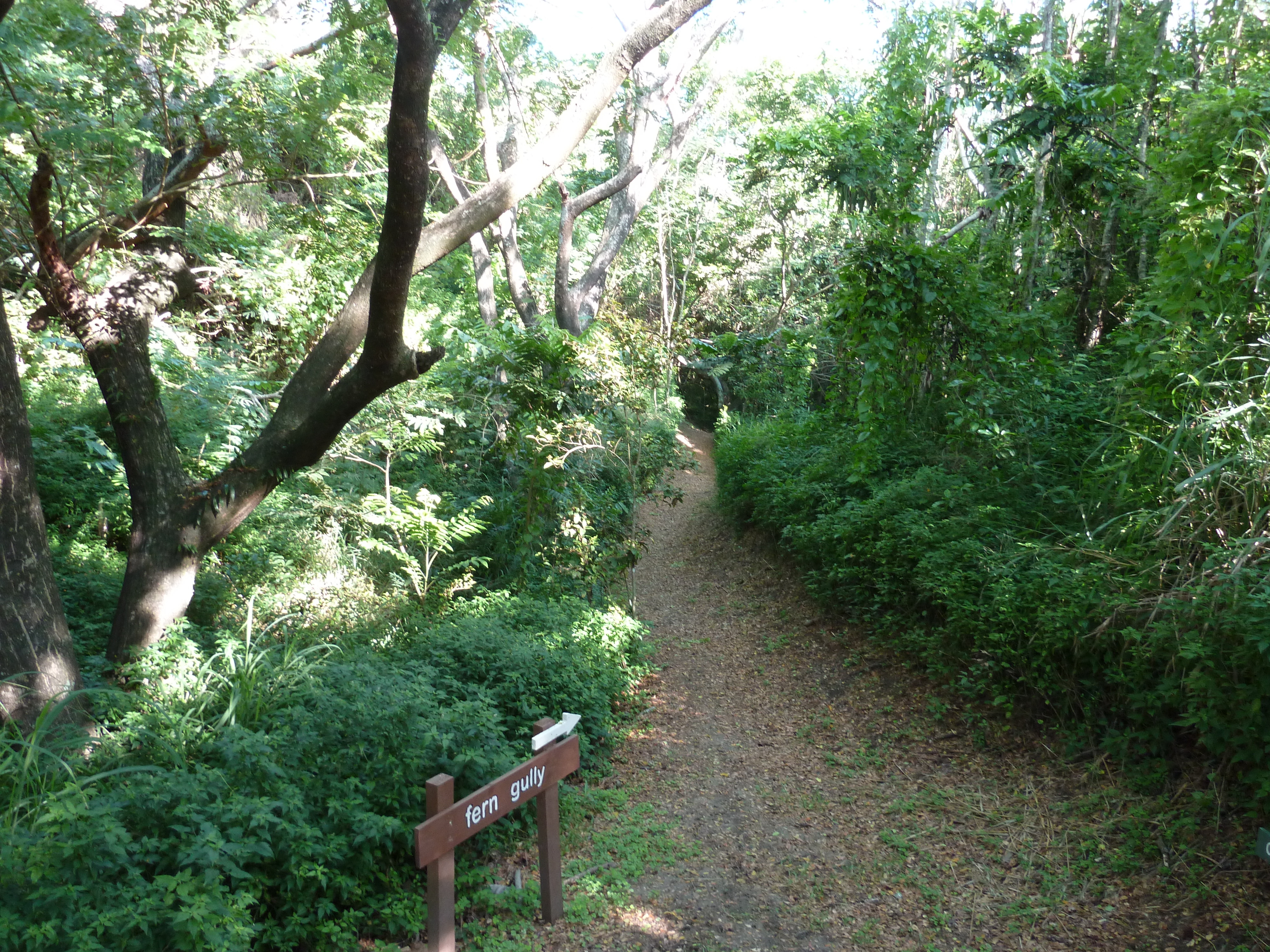 Photo Îles Fidji Parc des dunes de Sigatoka 2010-05 18