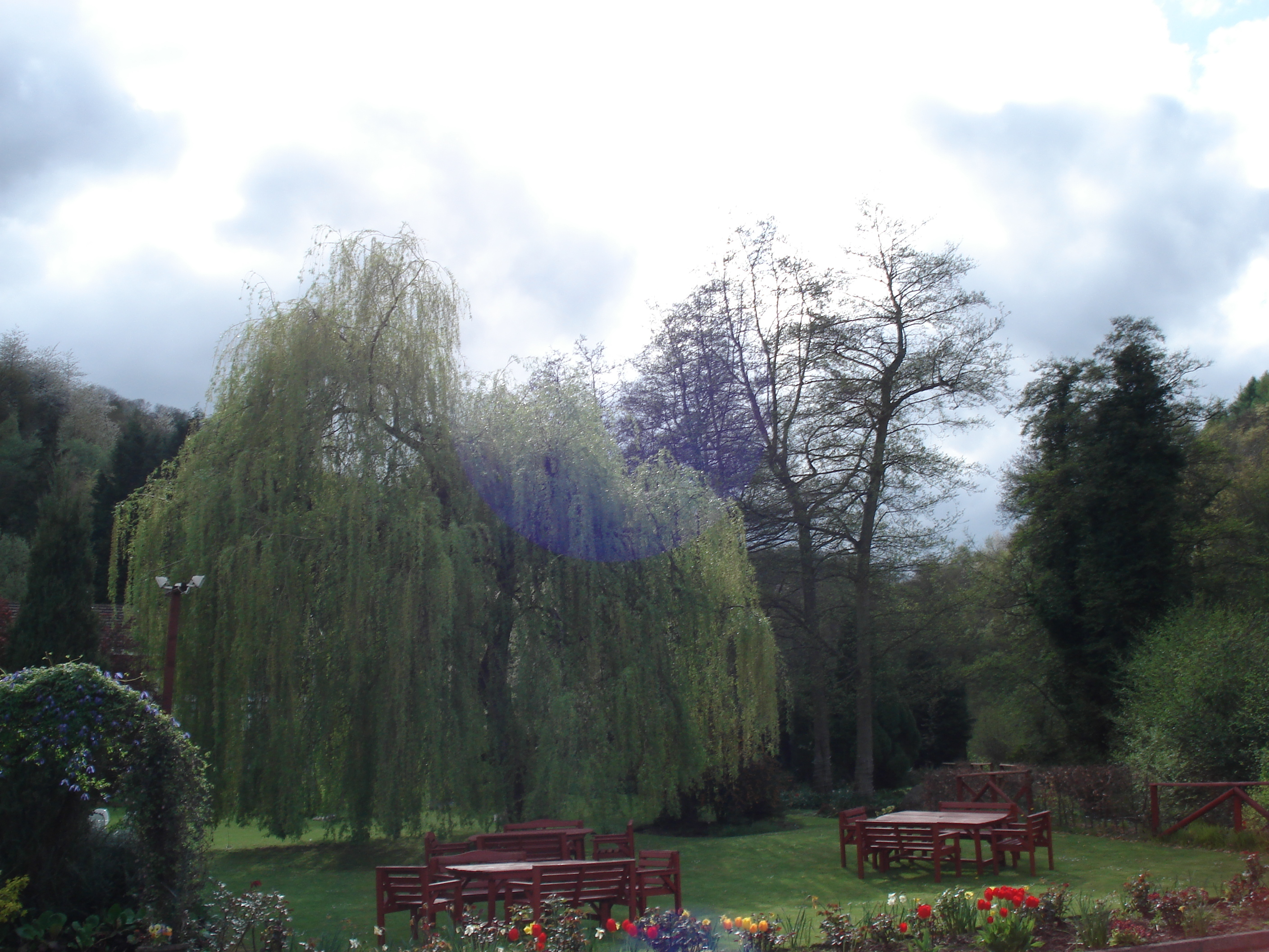 Photo Royaume-Uni Tintern 2006-05 45