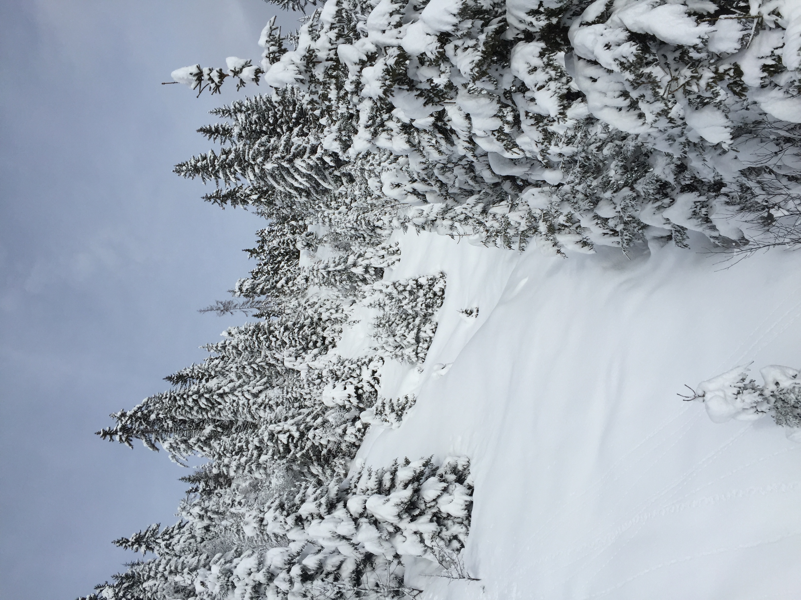 Photo France Megève 2016-02 29