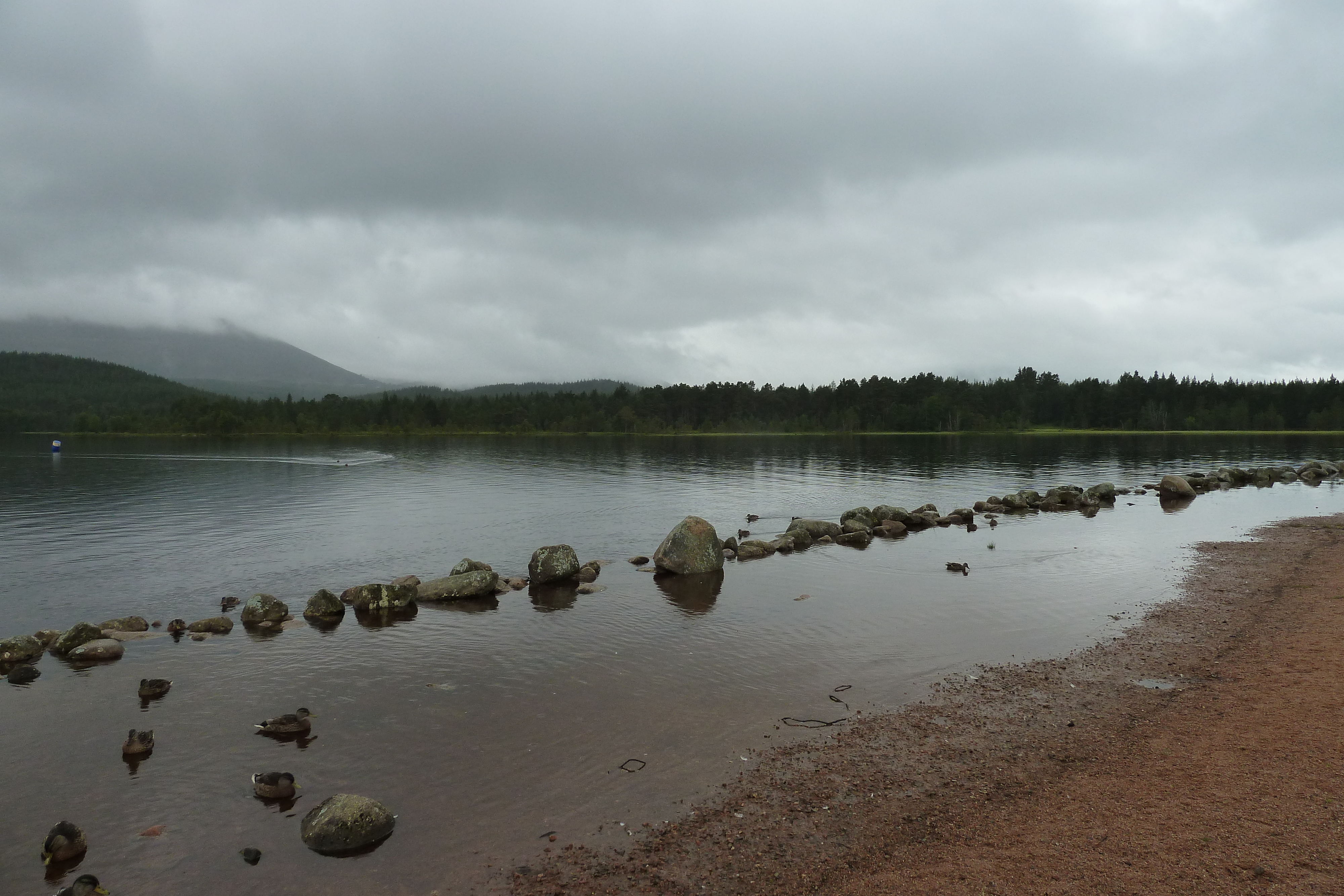 Photo Royaume-Uni Écosse Route de Forres à Aviemore 2011-07 19