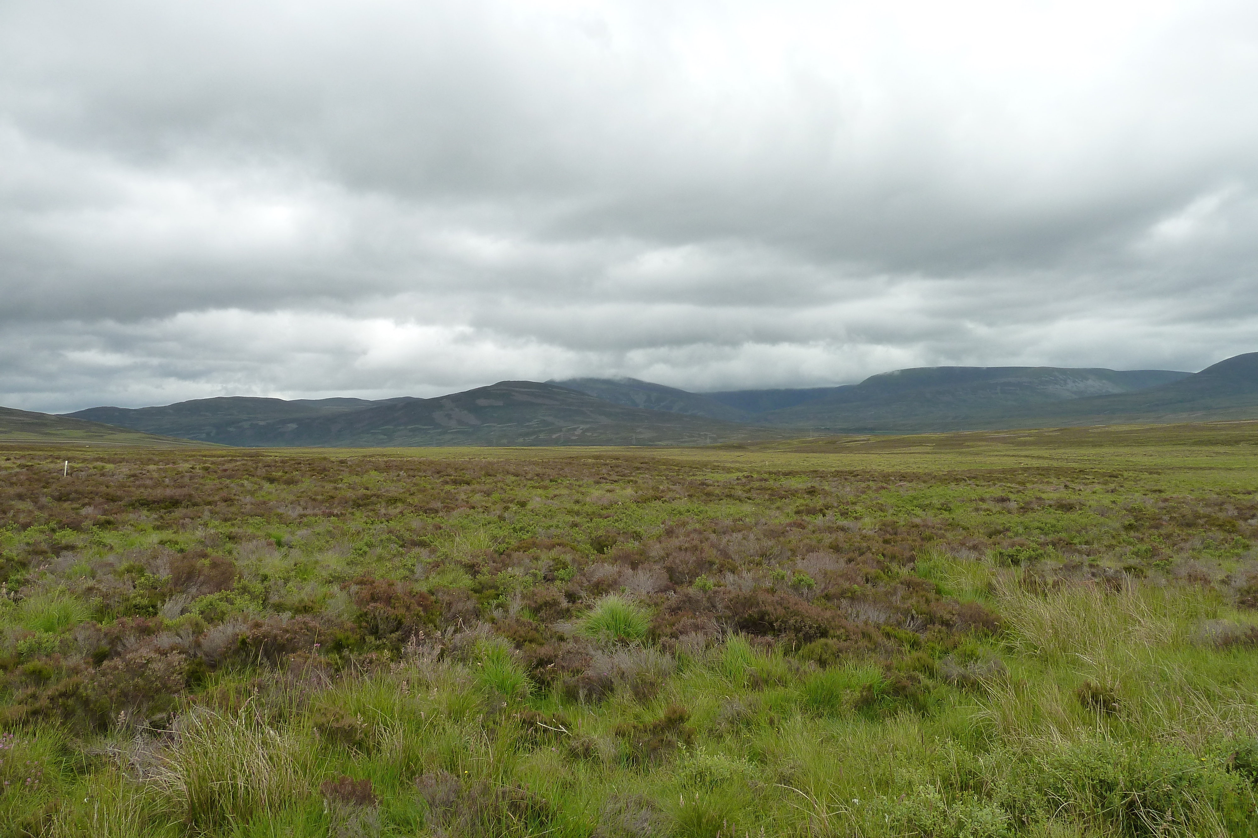 Photo Royaume-Uni Écosse Route de Forres à Aviemore 2011-07 10