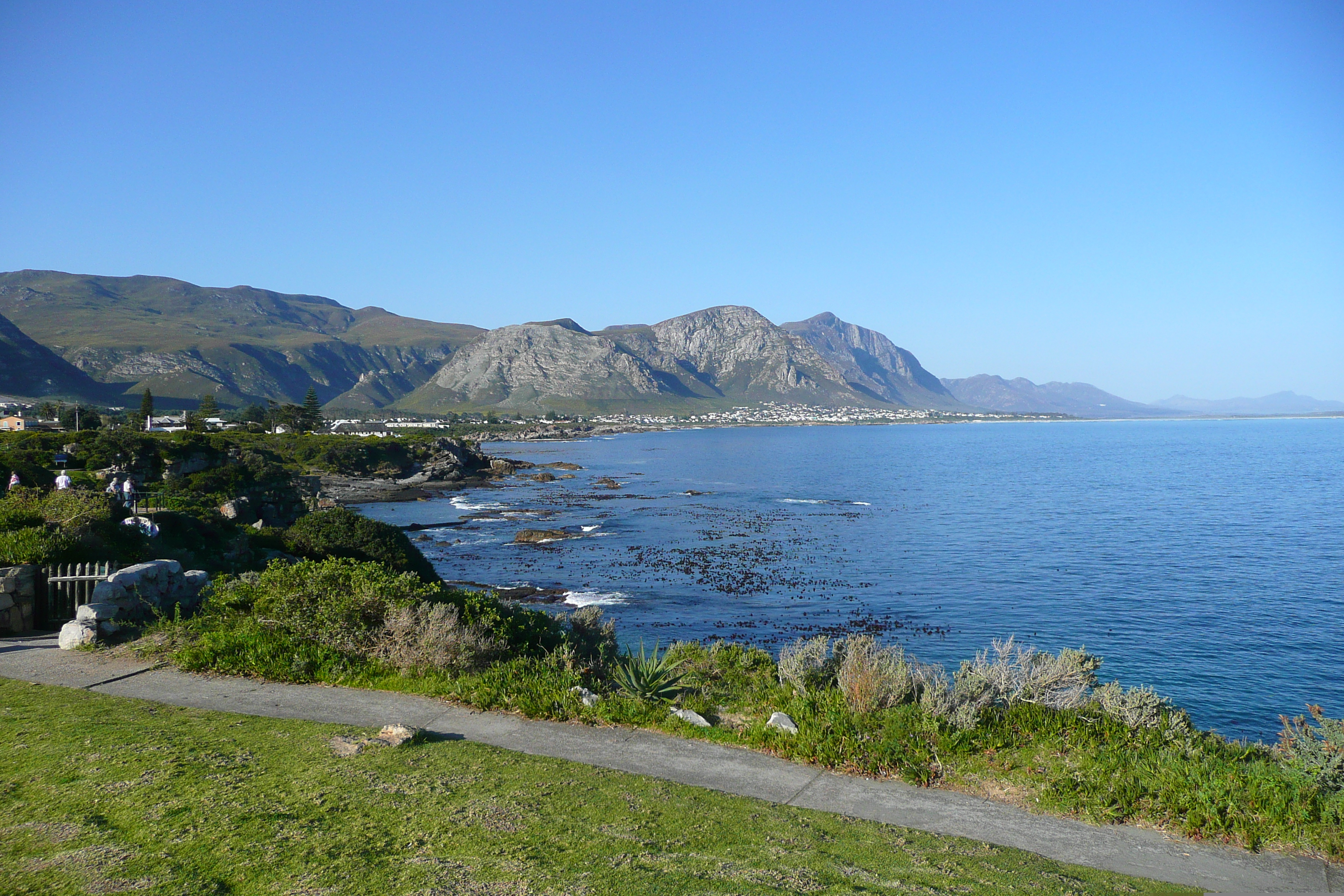 Photo Afrique du Sud Harmanus 2008-09 111