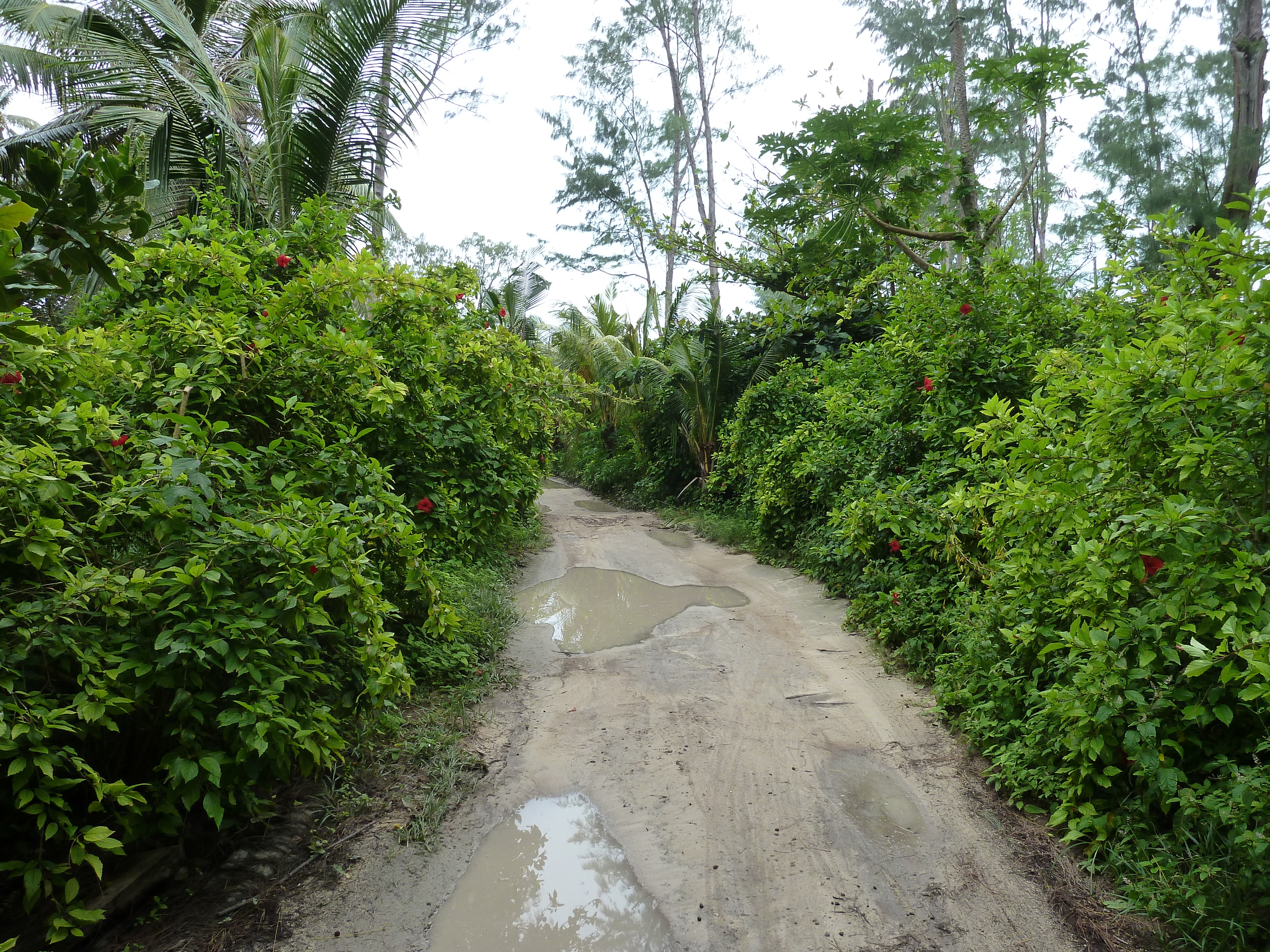 Photo Seychelles La Digue 2011-10 107