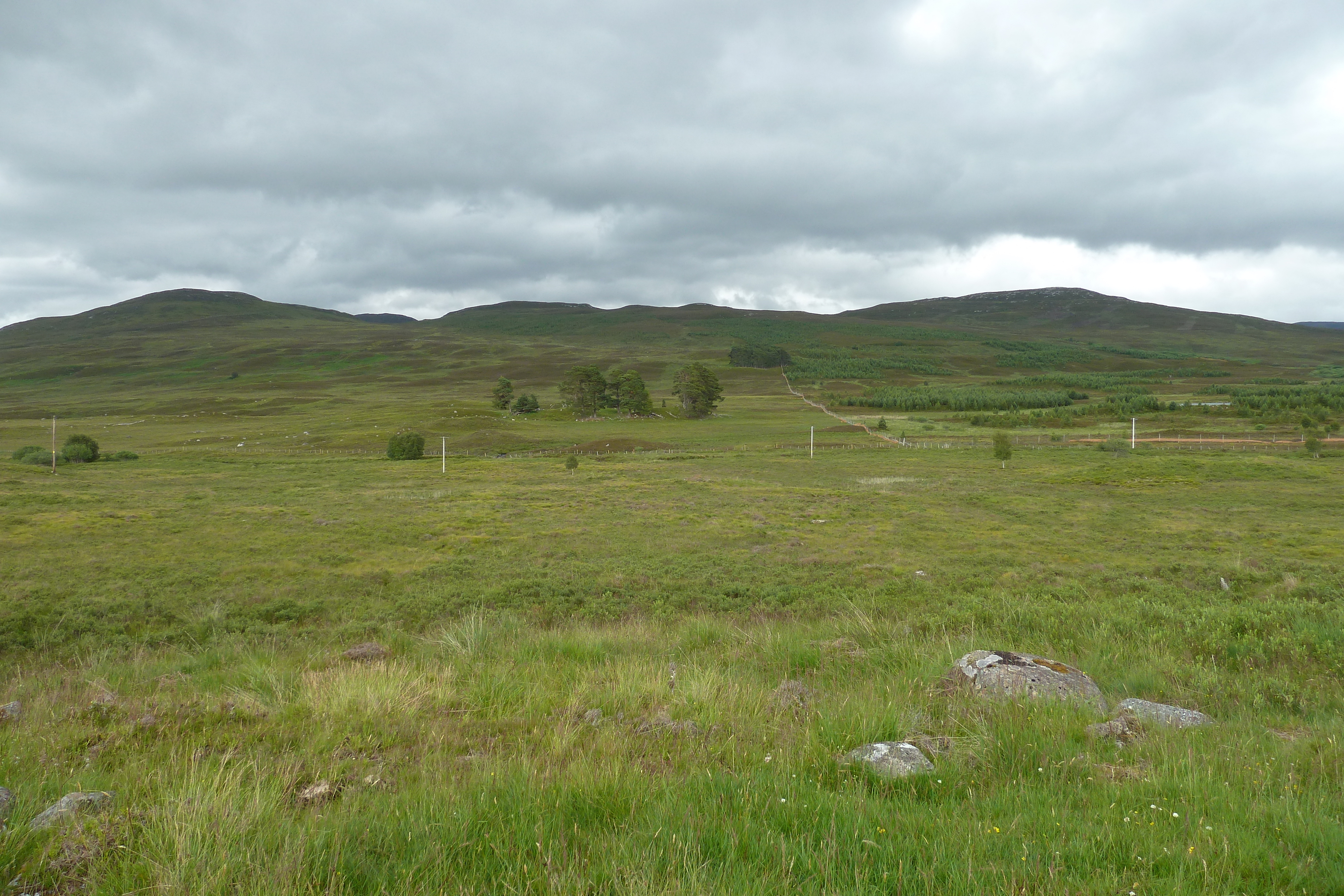 Photo Royaume-Uni Écosse Route de Forres à Aviemore 2011-07 3