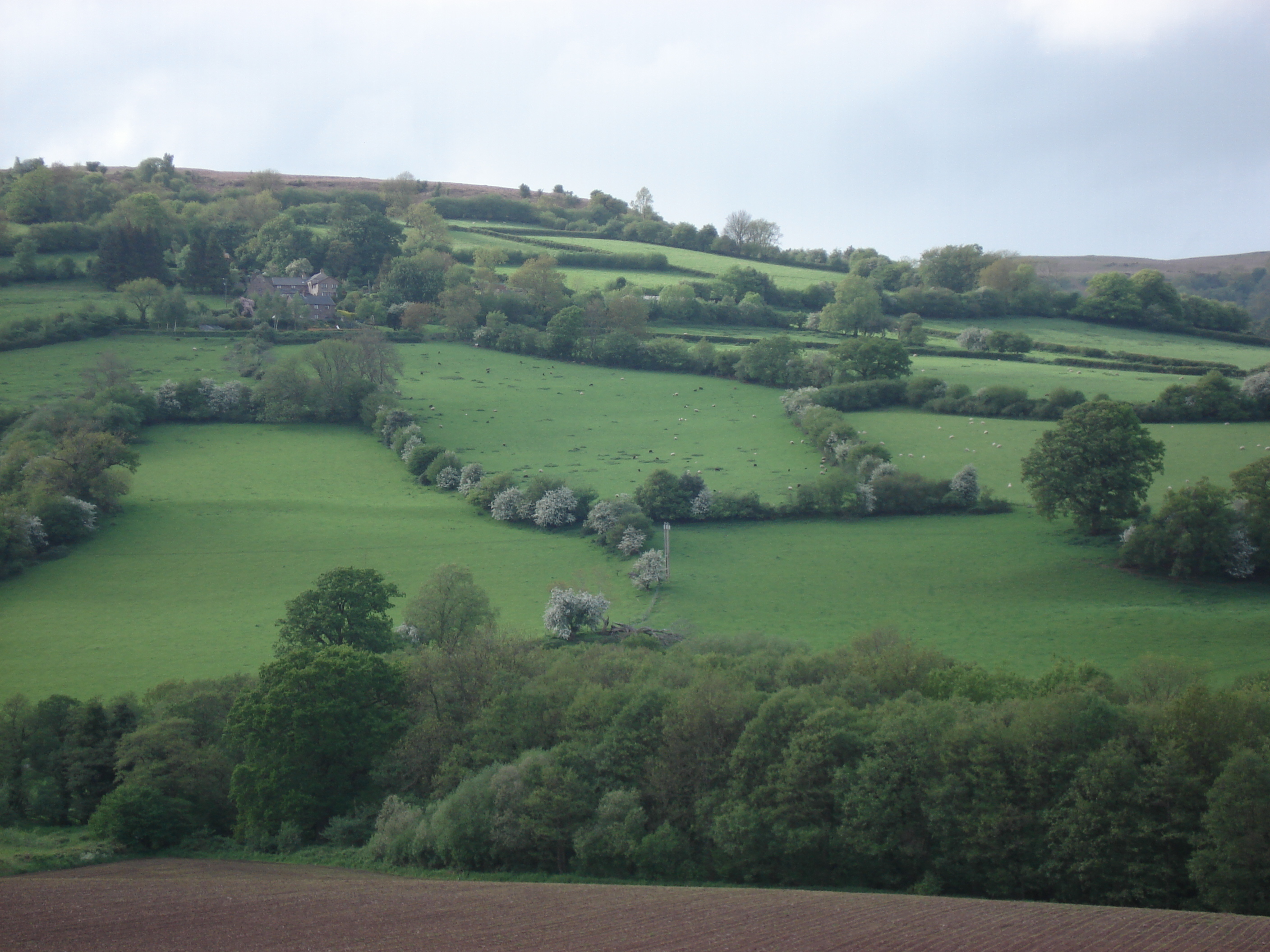 Photo Royaume-Uni Parc national des Brecon Beacons 2006-05 42