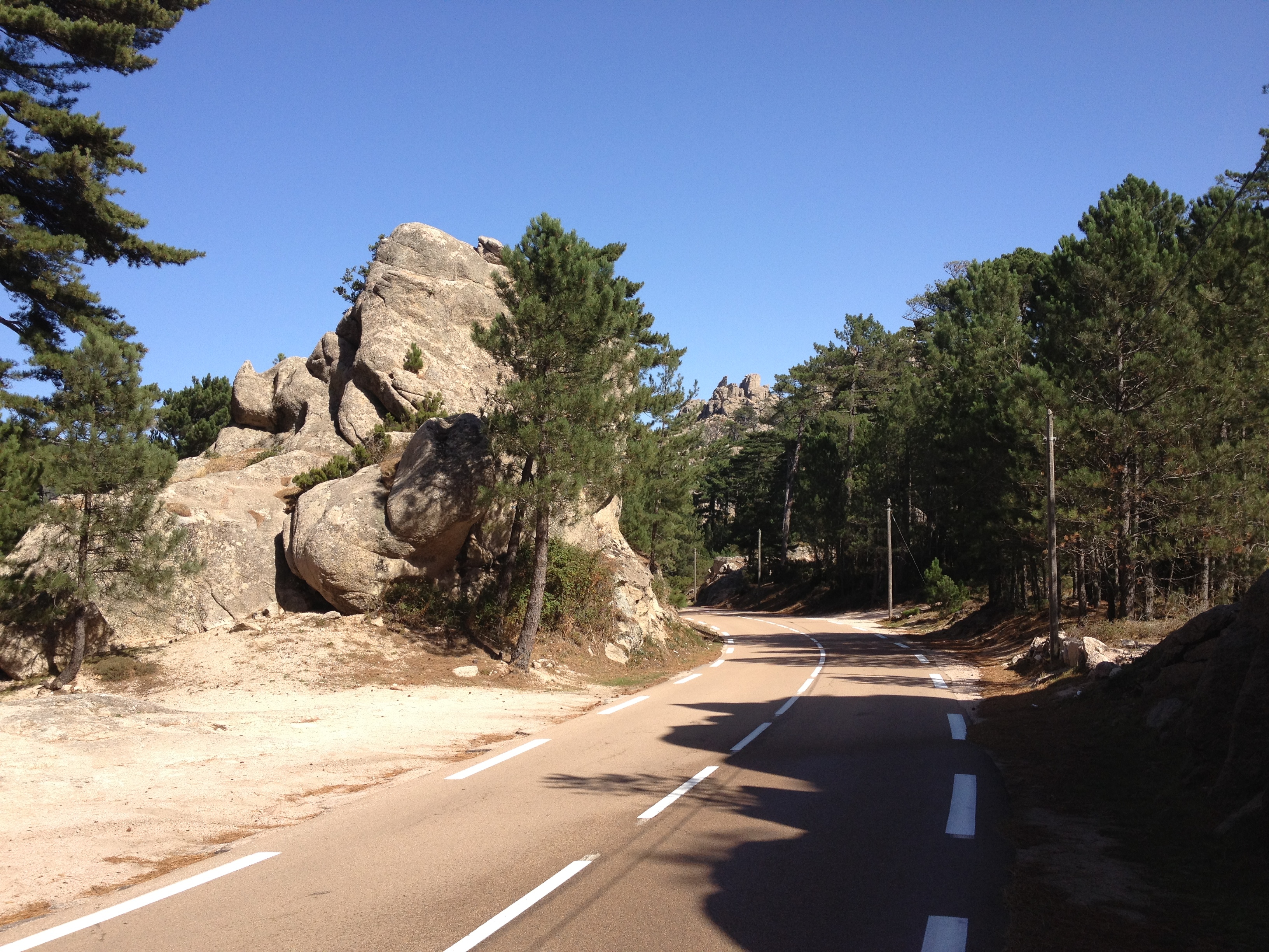 Photo France Corse Forêt de l'Ospedale 2012-09 58