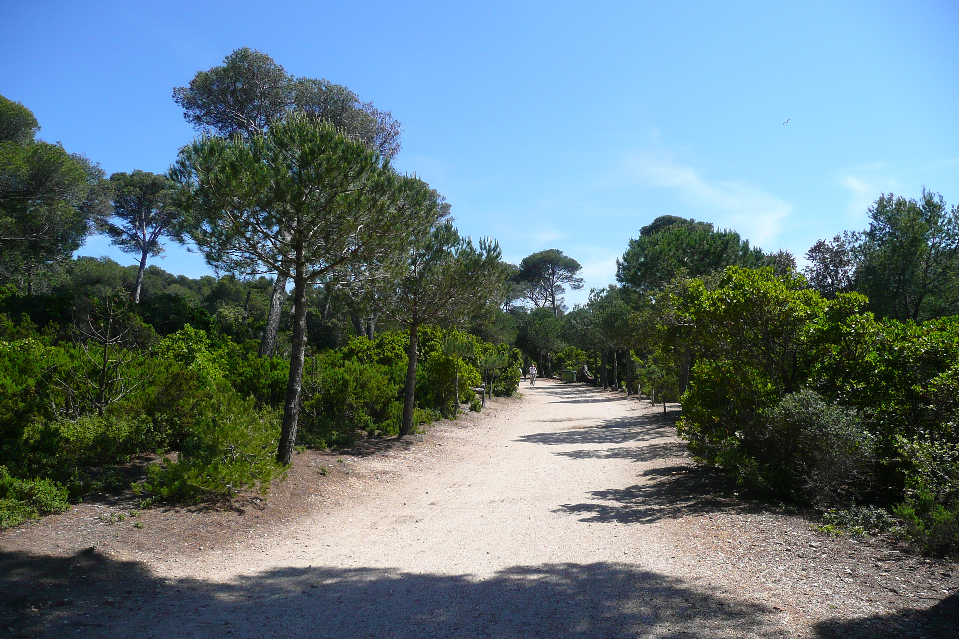 Photo France Ile de Porquerolles Plaine de la courtade 2008-05 2