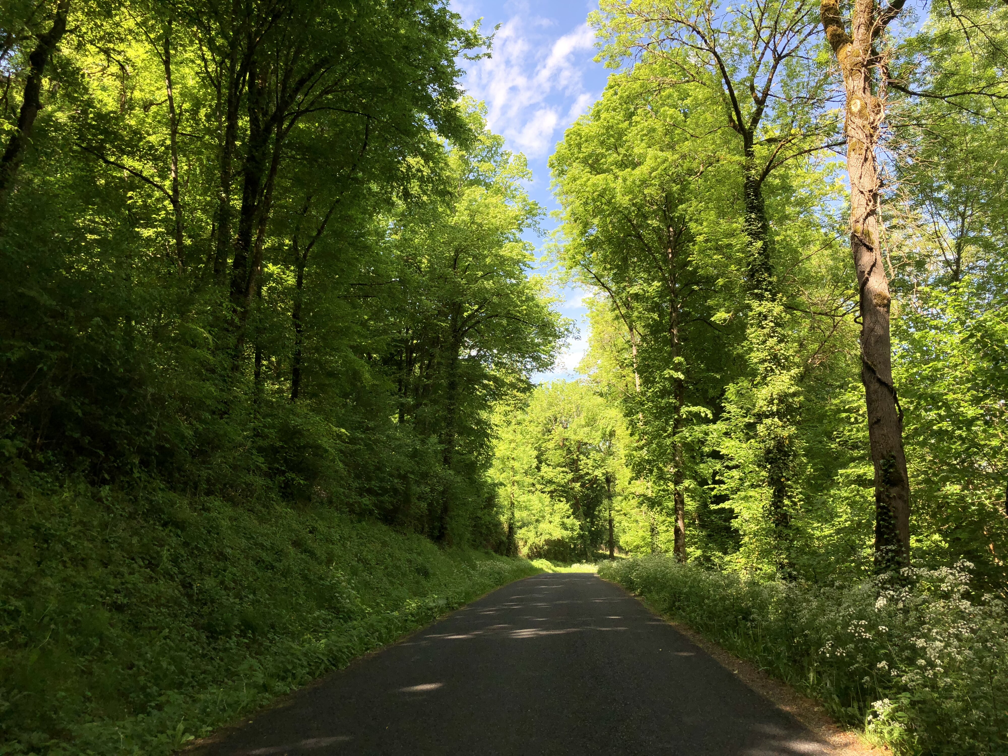 Photo France Floirac 2018-04 113