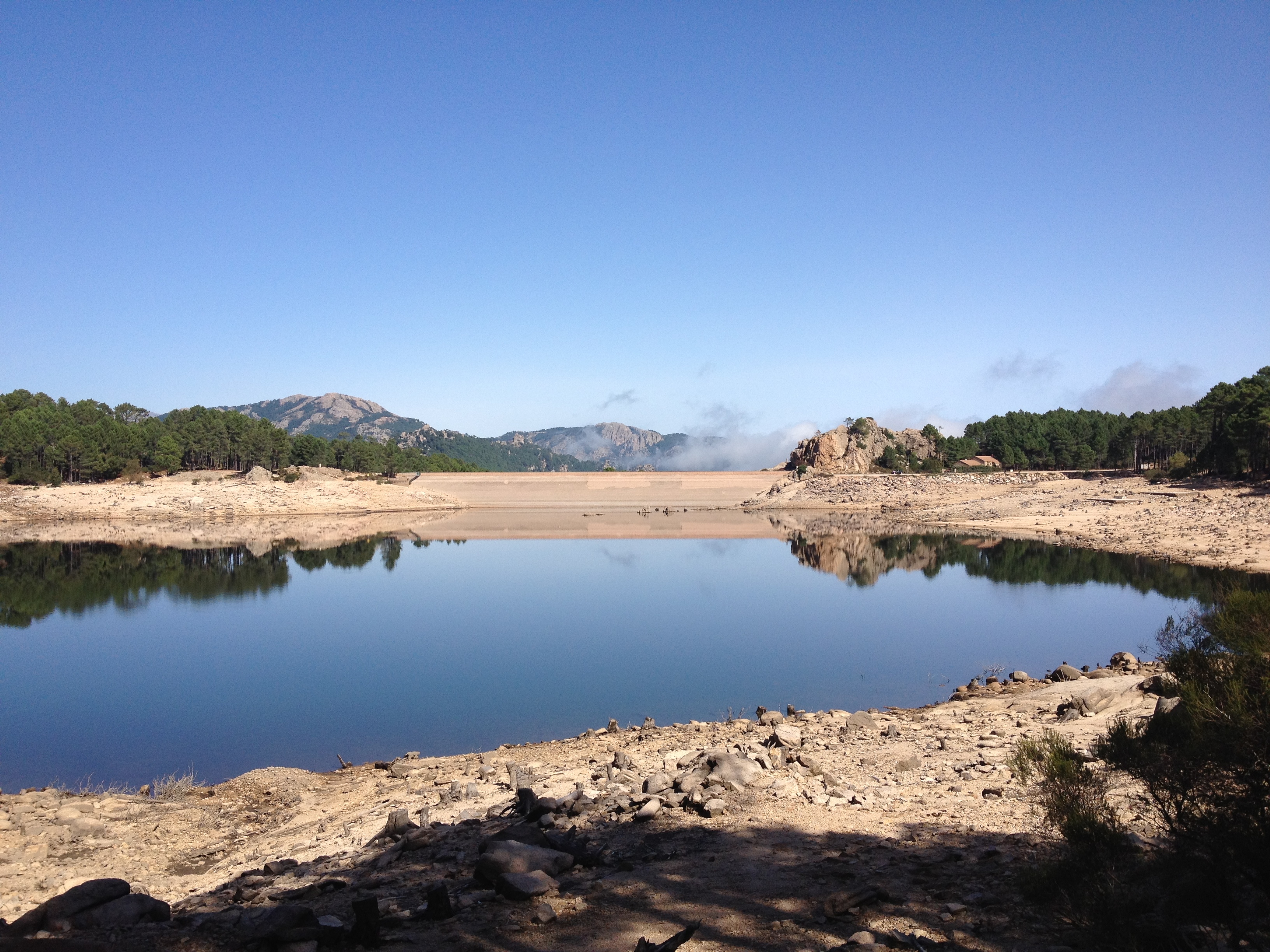 Photo France Corse Forêt de l'Ospedale 2012-09 35