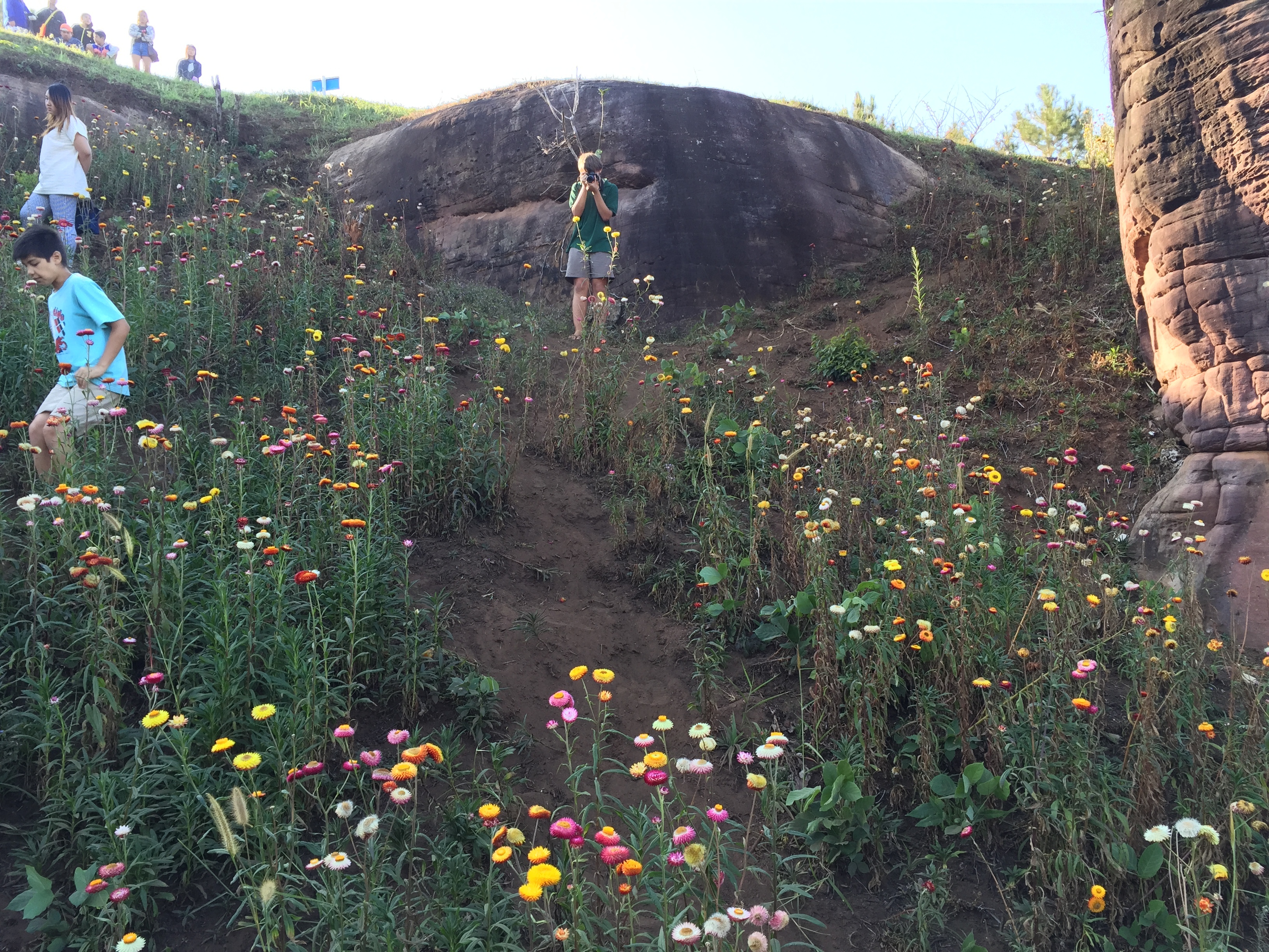 Photo Thaïlande Parc National Phu Hin Rong Kla 2014-12 319