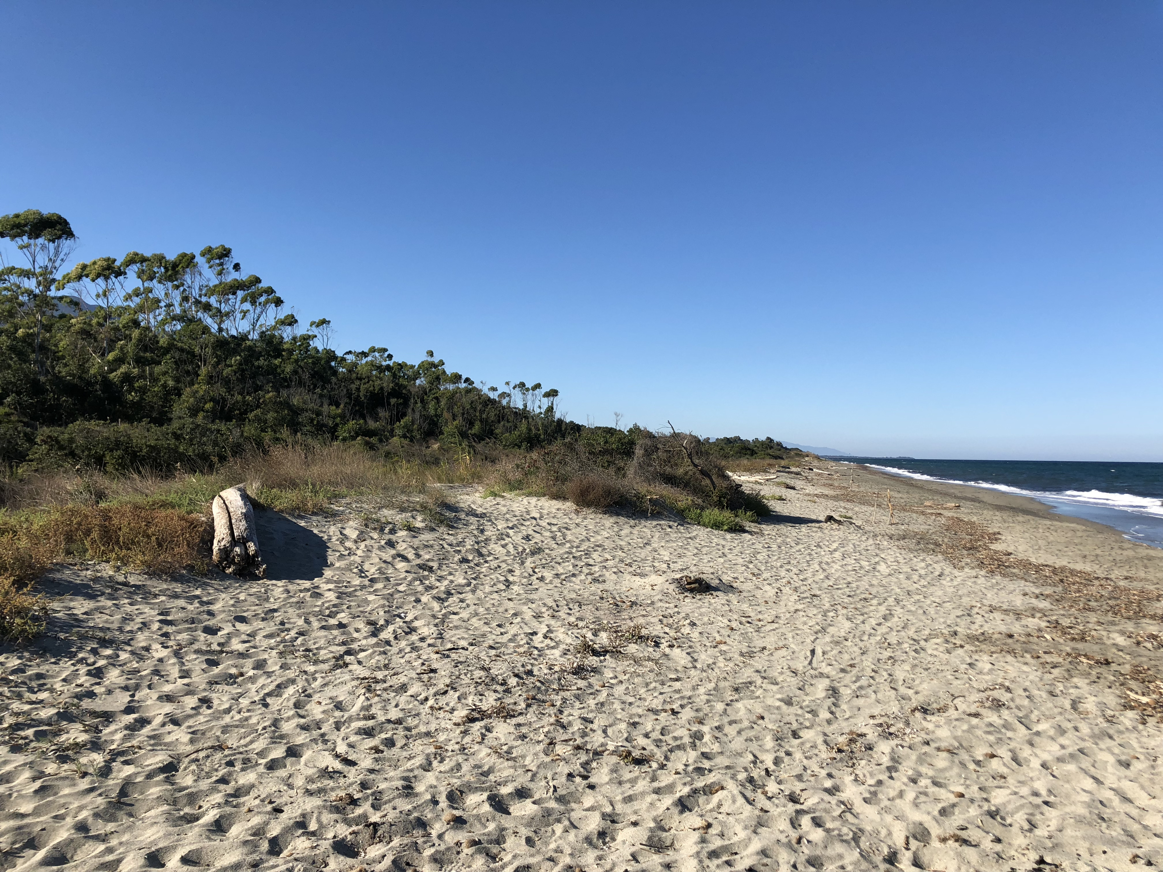 Photo France Corse San Giuliano 2018-09 18