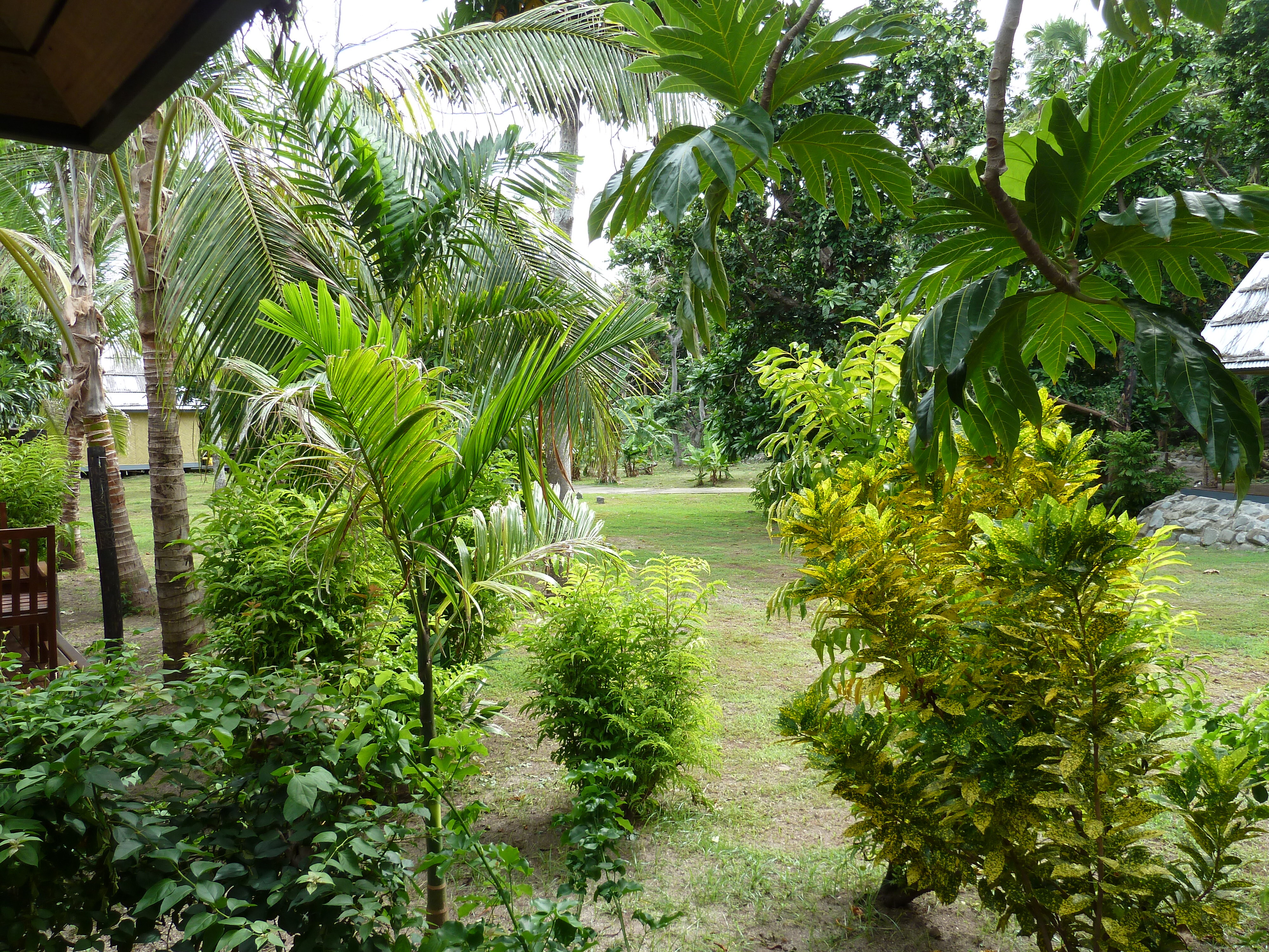 Photo Îles Fidji Amunuca Island Resort 2010-05 60