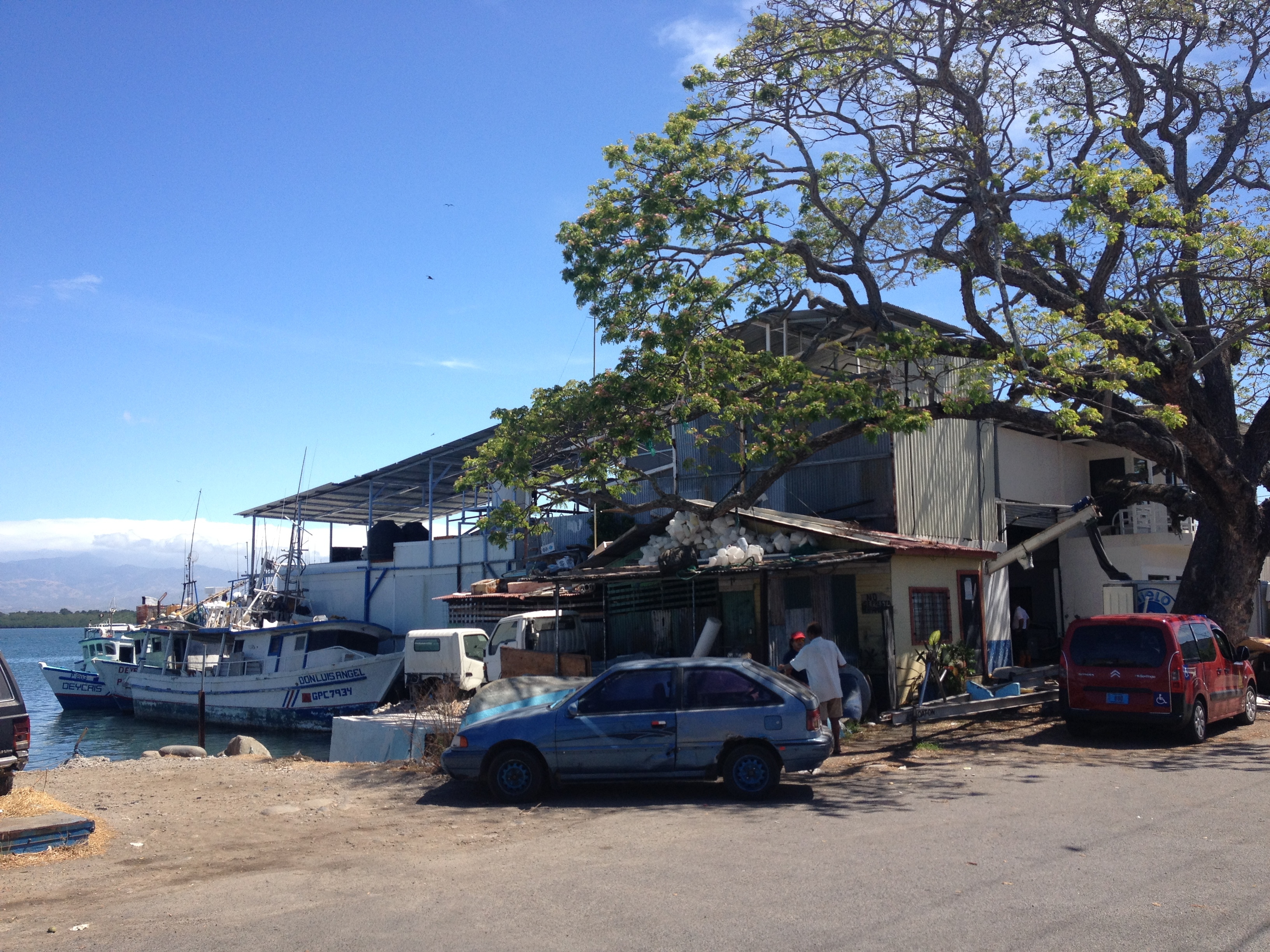 Photo Costa Rica Puntarenas 2015-03 164