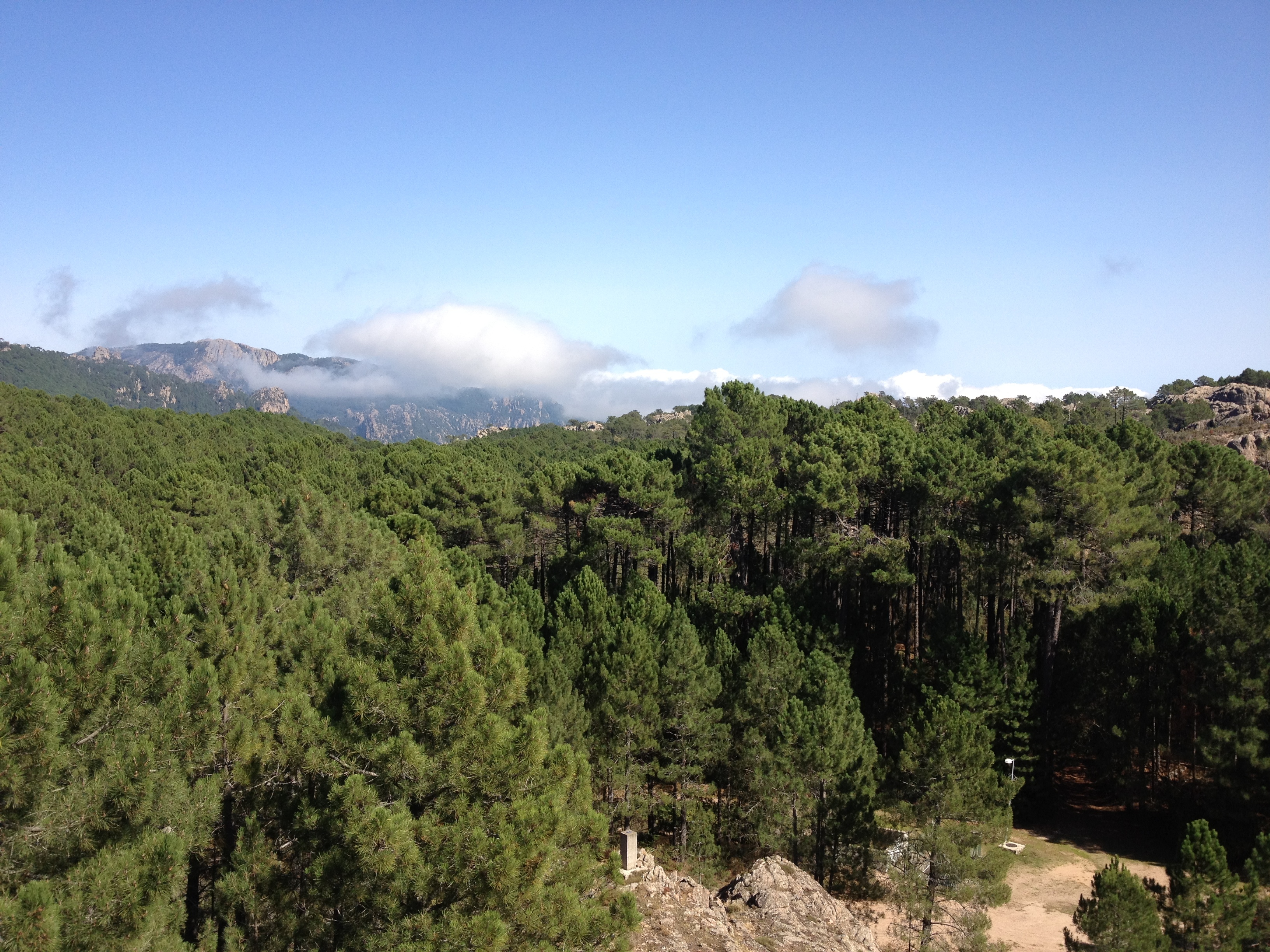 Photo France Corse Forêt de l'Ospedale 2012-09 7