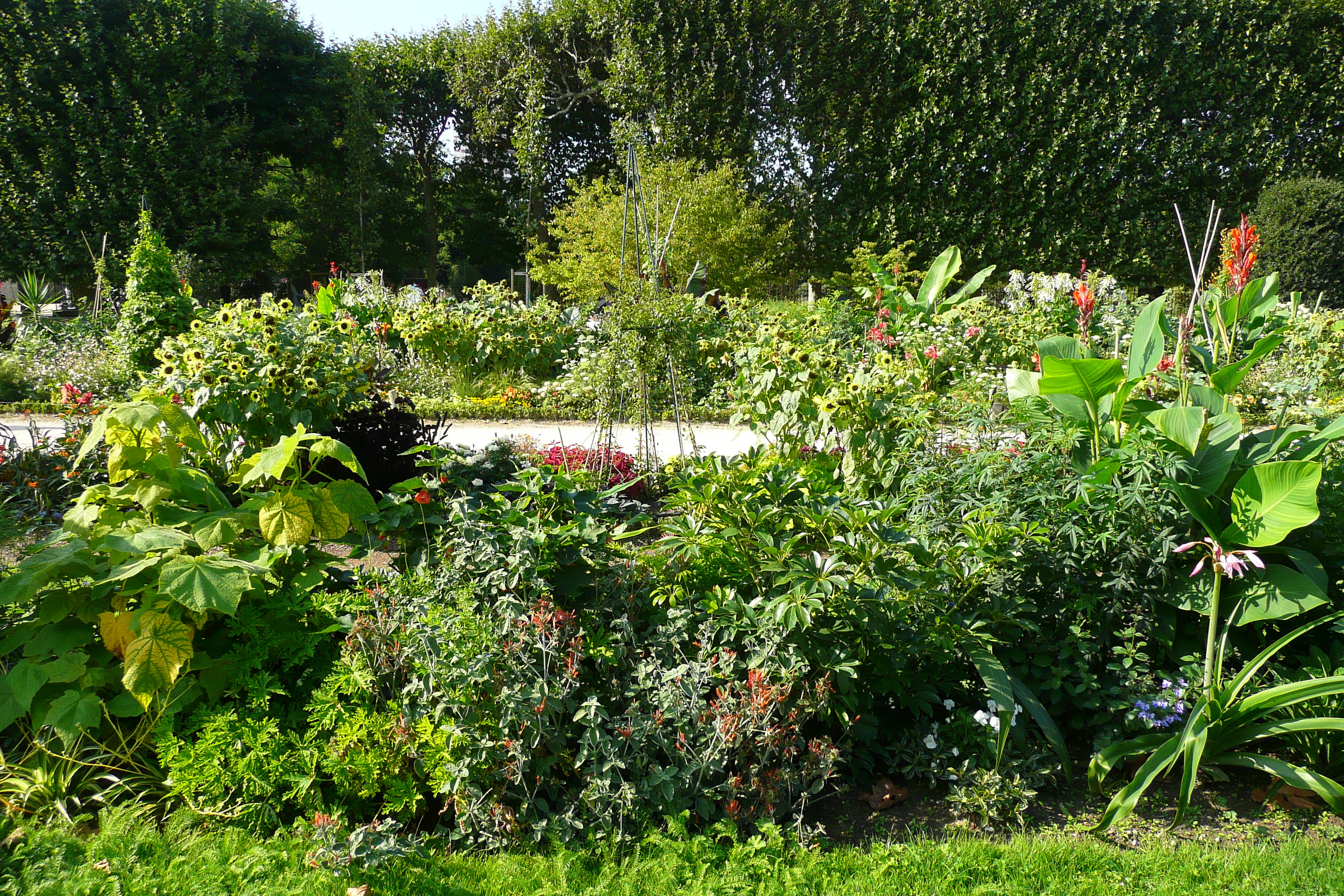Photo France Paris Jardin des Plantes 2007-08 8